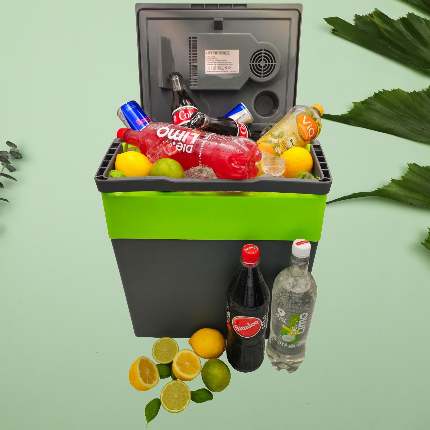 Steinborg SB-510 Kühlbox 30L