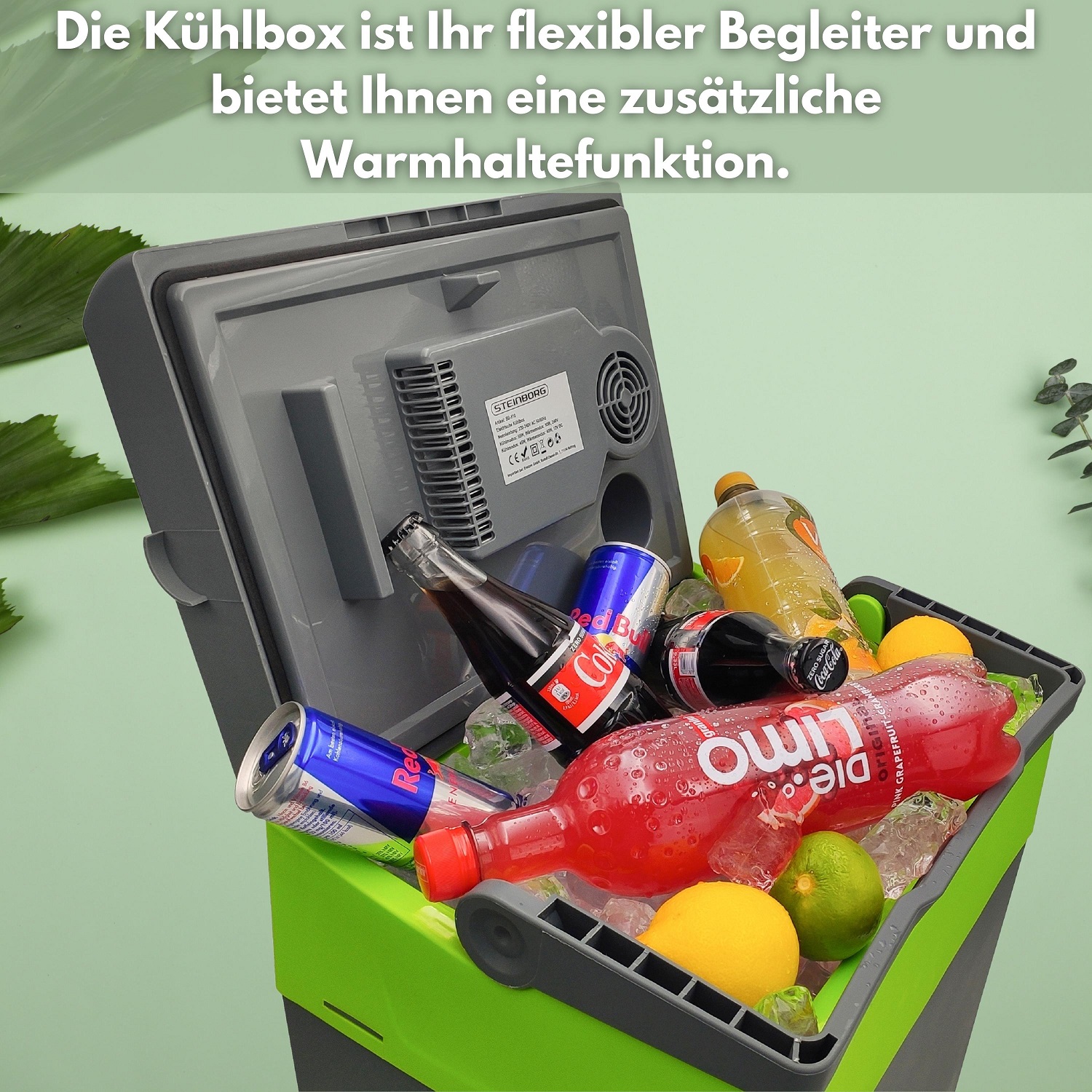 Steinborg SB-510 Kühlbox 30L