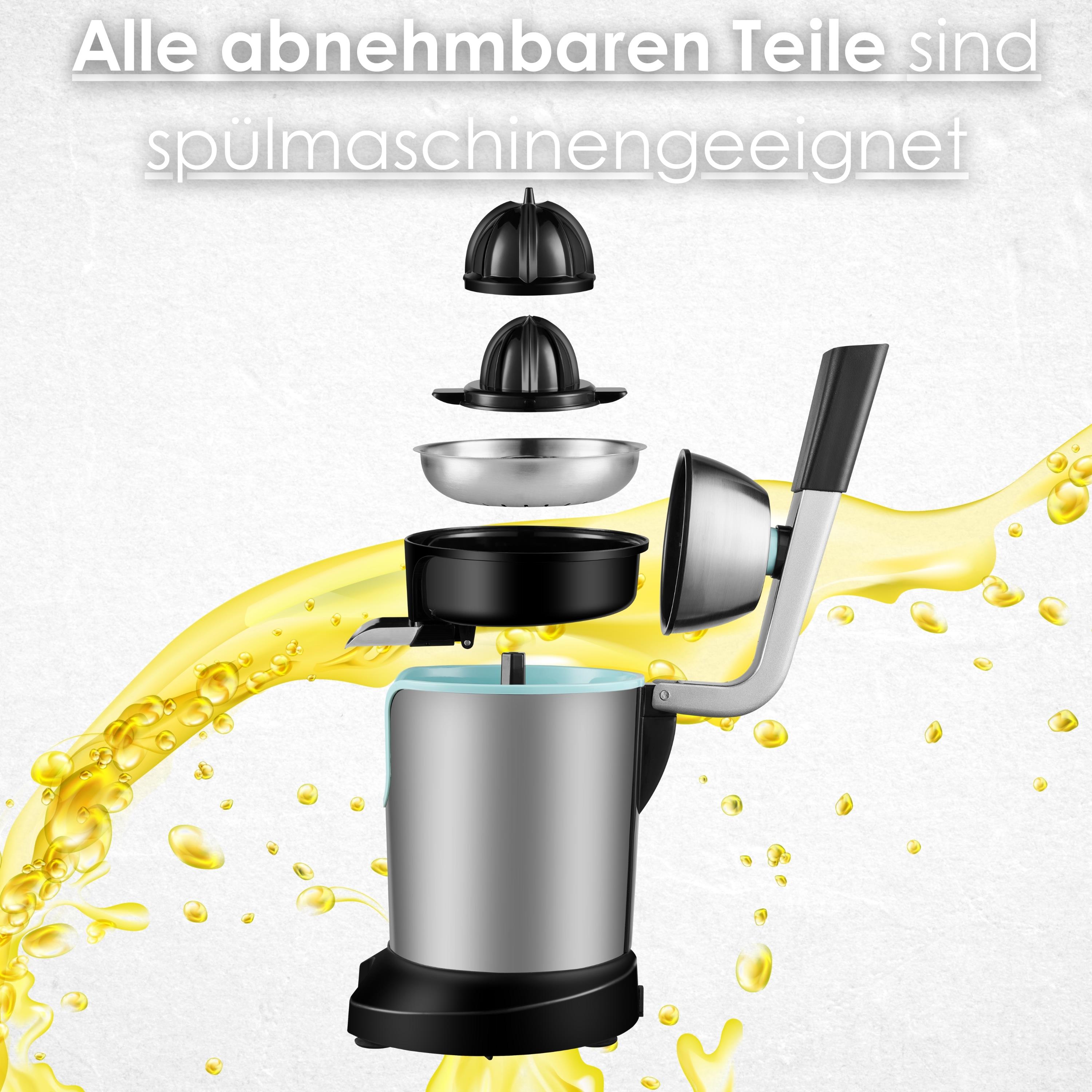 Steinborg SB-7051 Saftpresse