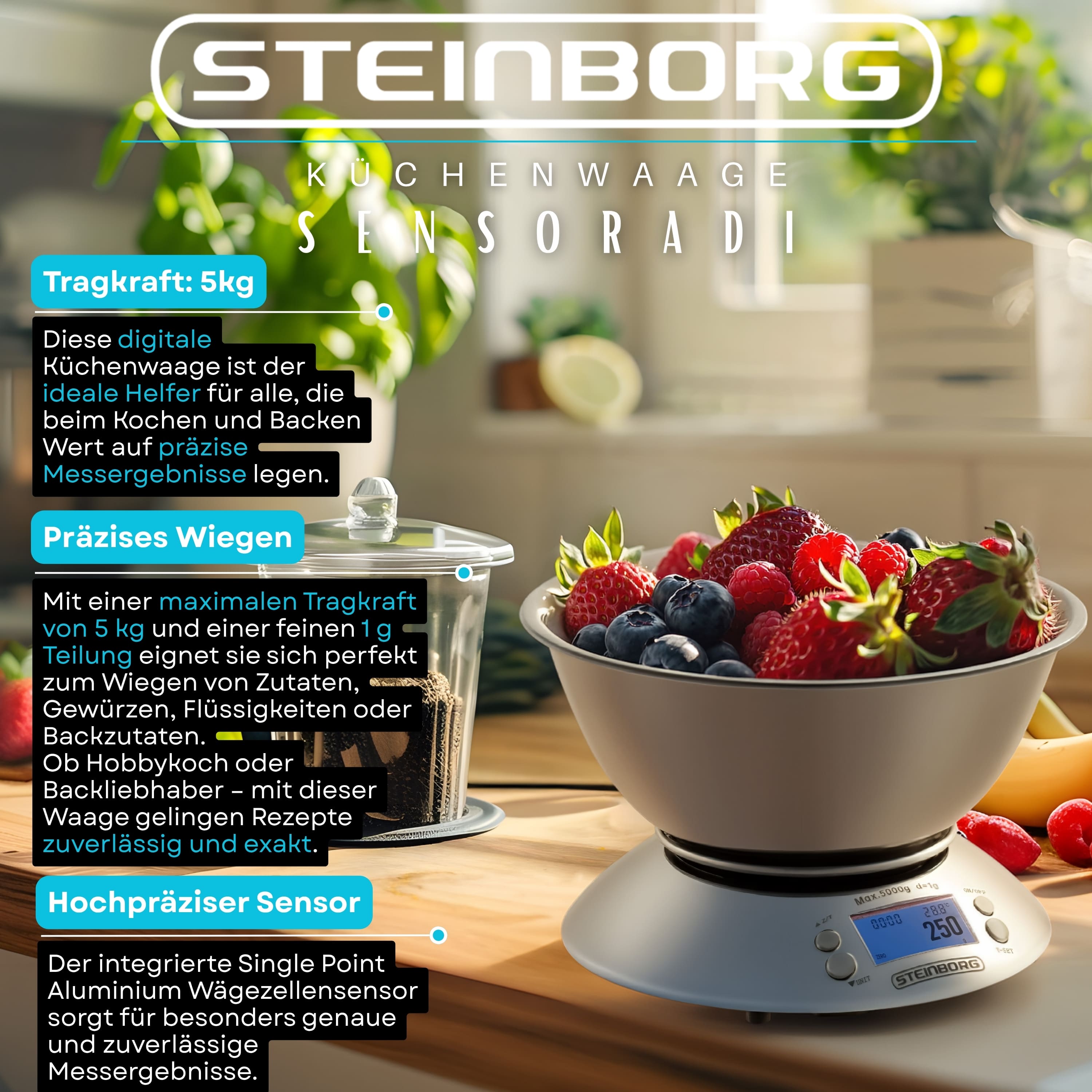 Steinborg SB-2660 Küchenwaage