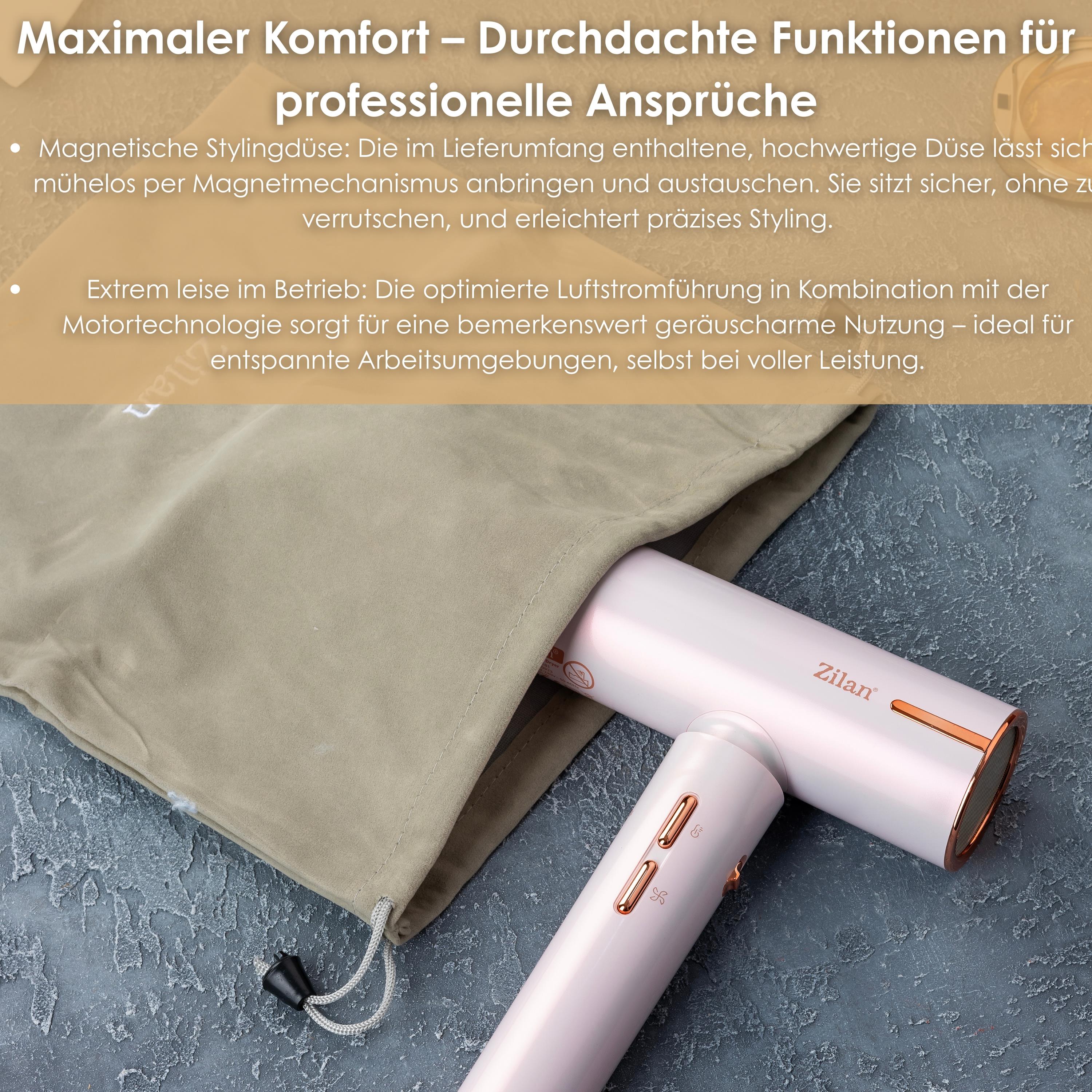 Zilan ZLN-9181 Haartrockner Pro