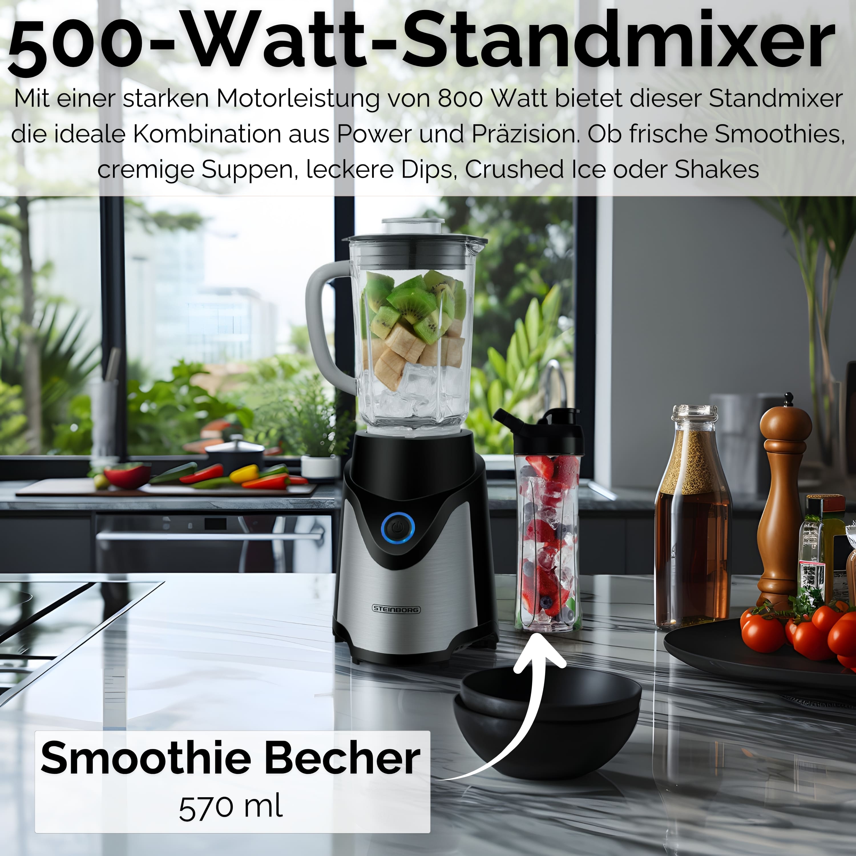 Steinborg SB-7030 Standmixer