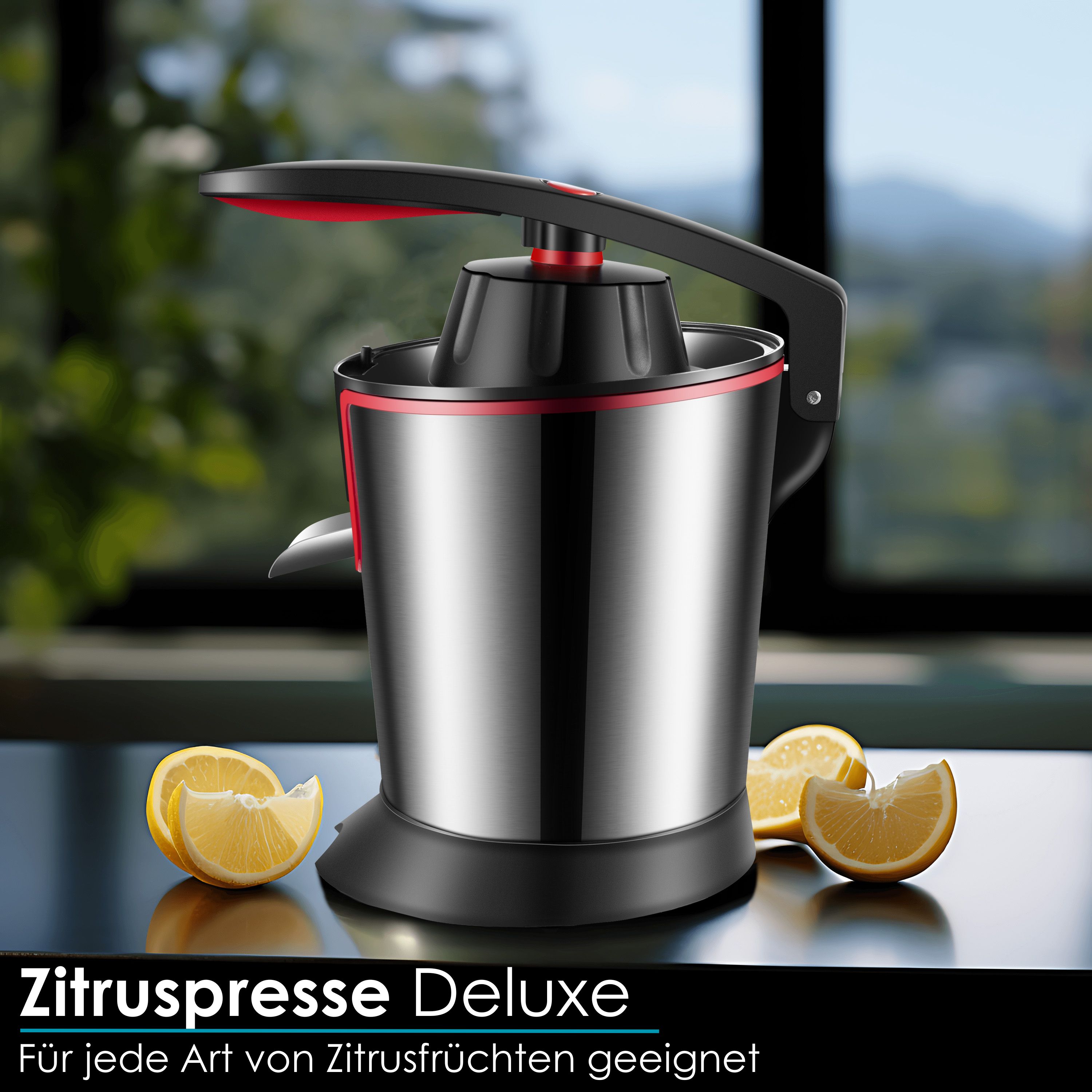Steinborg SB-7050 Saftpresse
