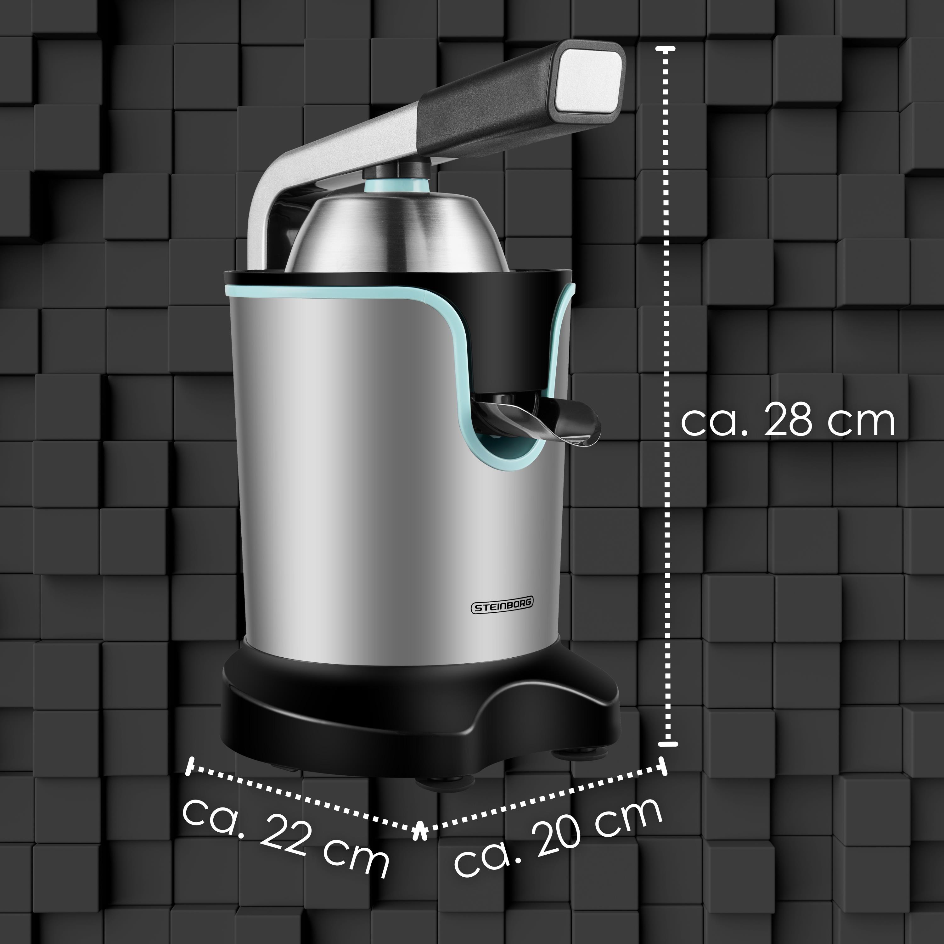 Steinborg SB-7051 Saftpresse