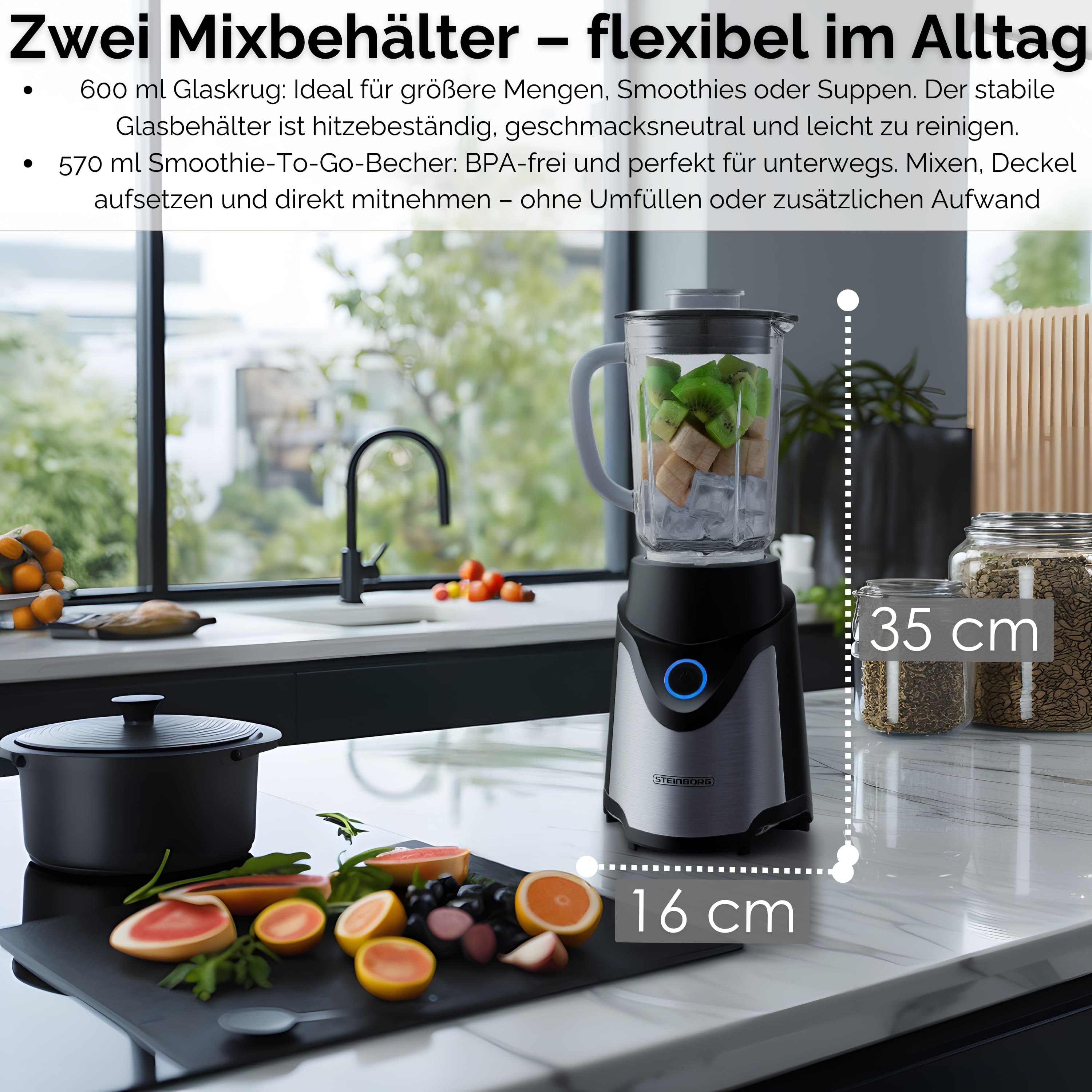 Steinborg SB-7030 Standmixer