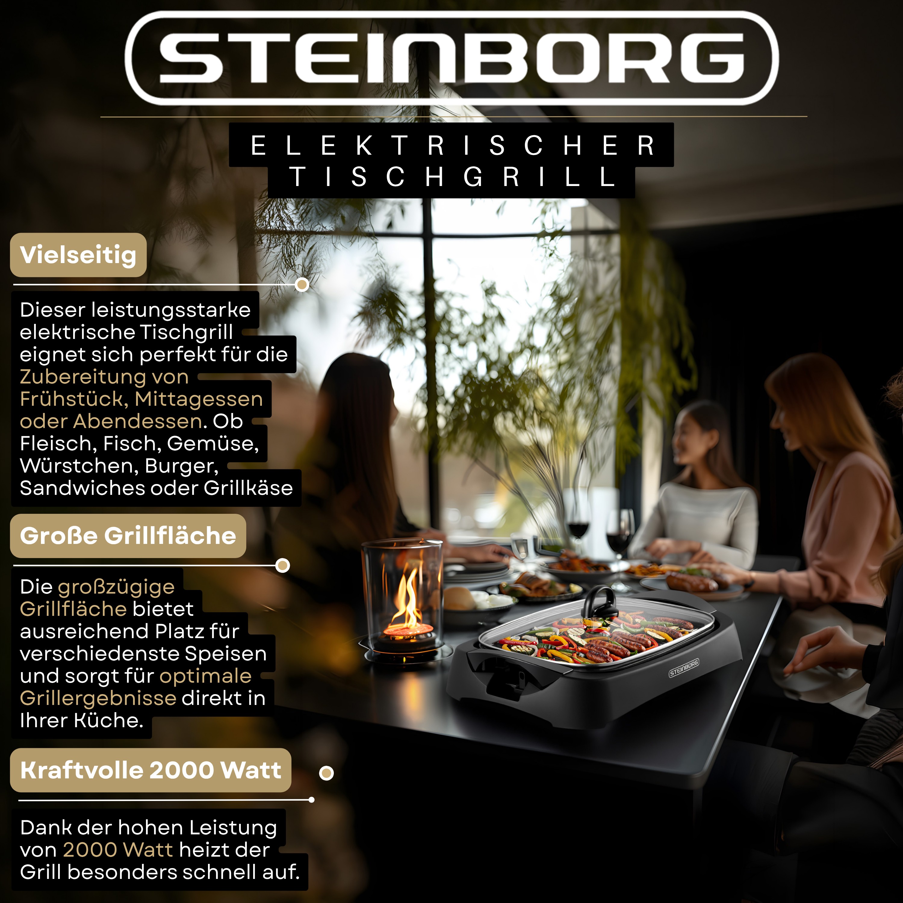 Steinborg SB-2160 Tischgrill