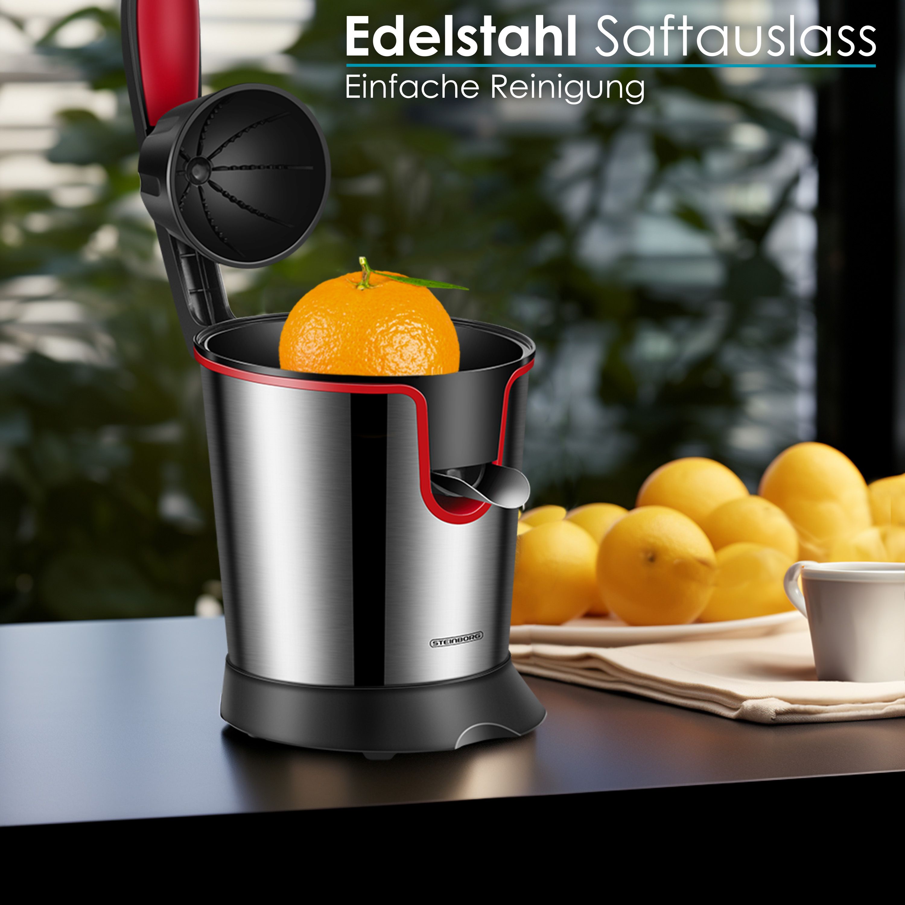 Steinborg SB-7050 Saftpresse