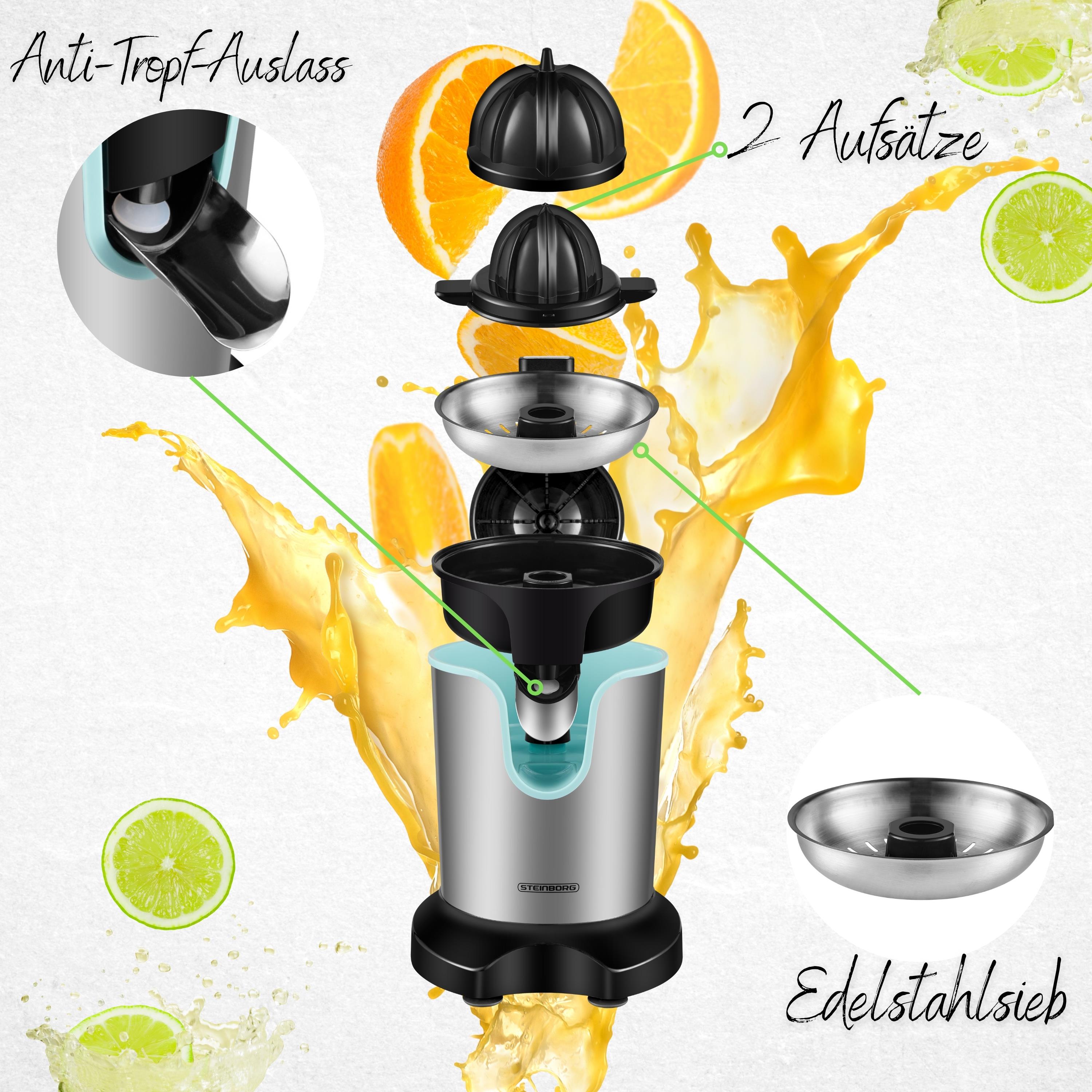 Steinborg SB-7051 Saftpresse