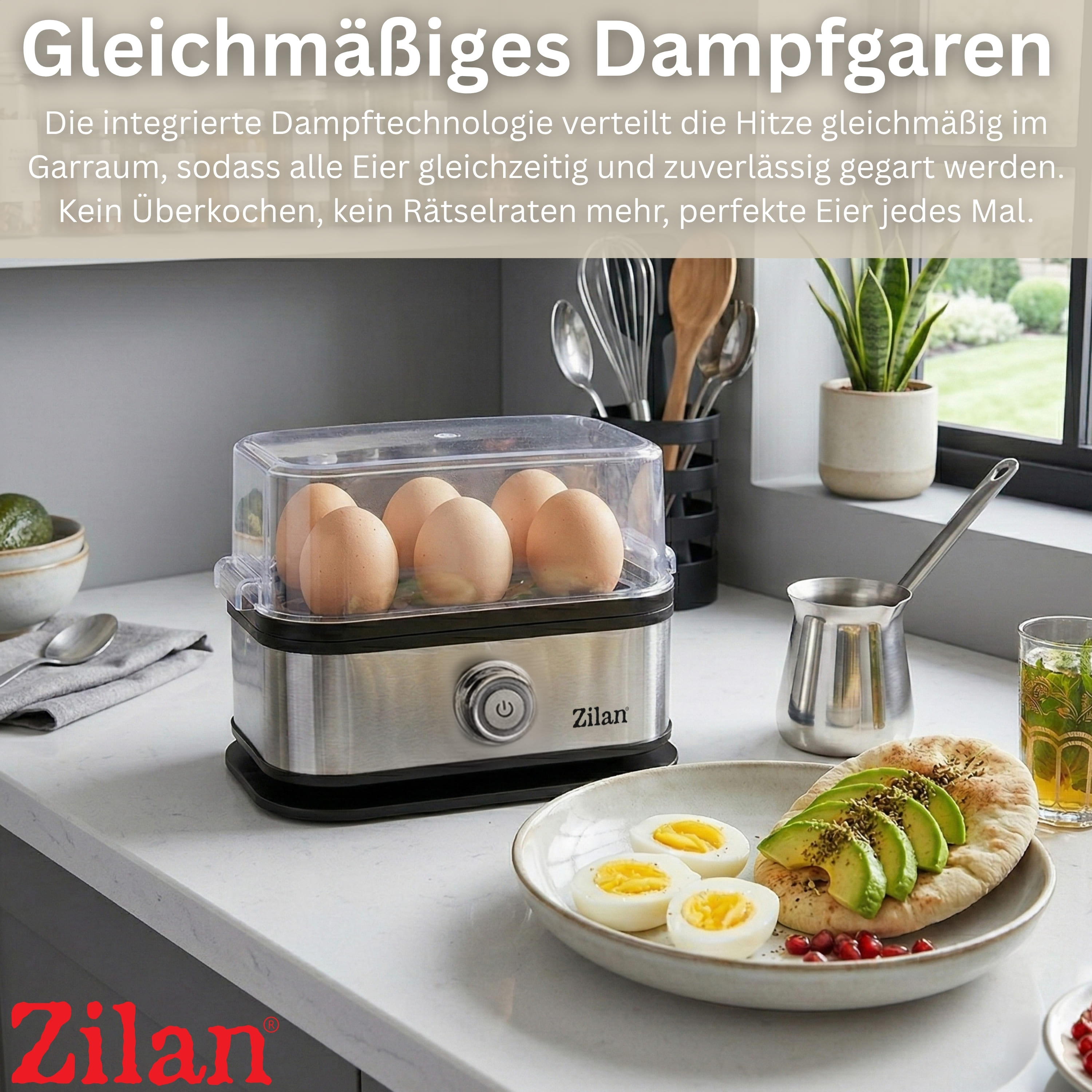 Zilan ZLN-4109 Eierkocher