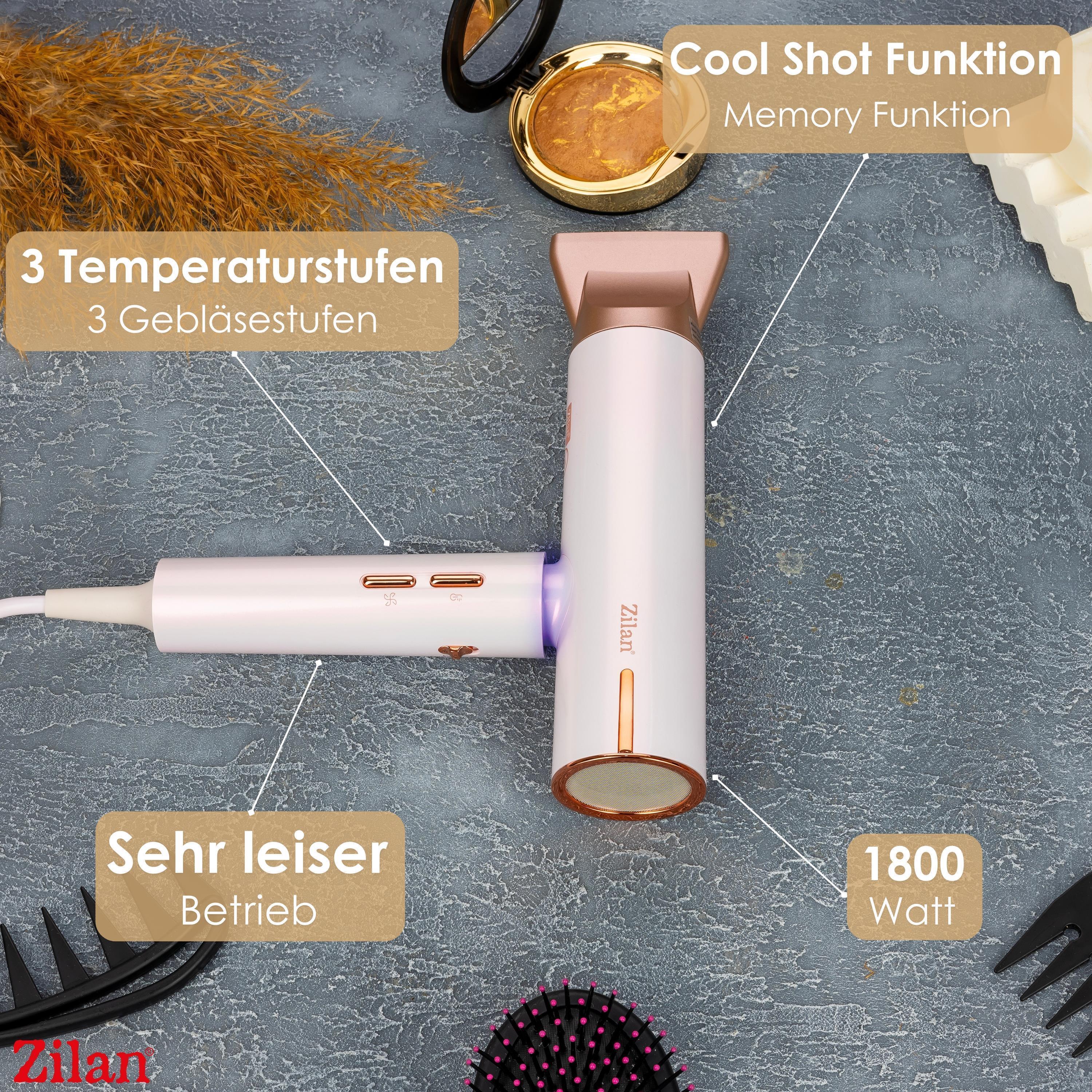 Zilan ZLN-9181 Haartrockner Pro