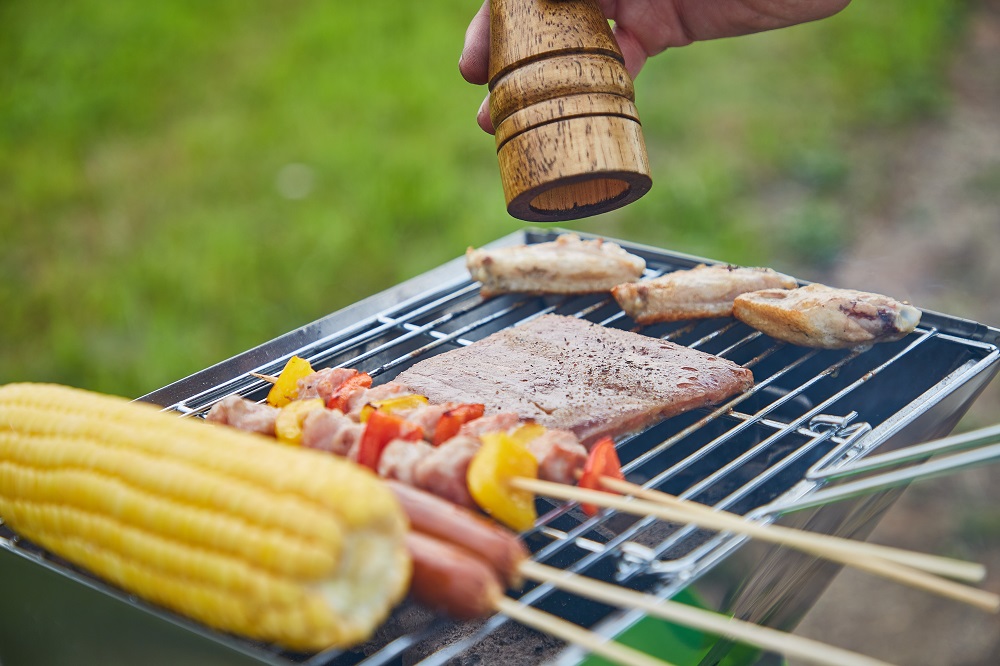 Steinborg SB-8161 Klappgrilll Grün