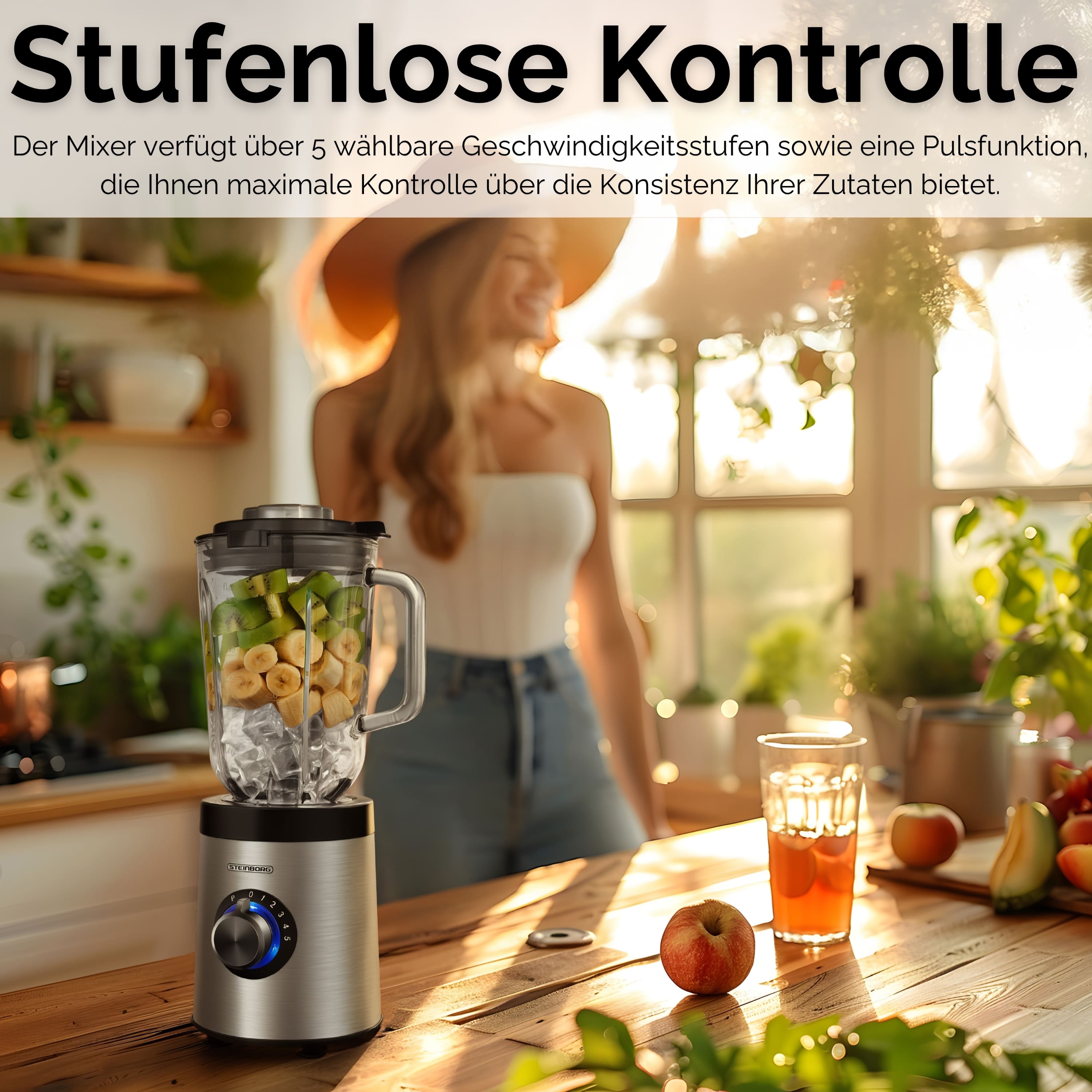 Steinborg SB-7020 Standmixer