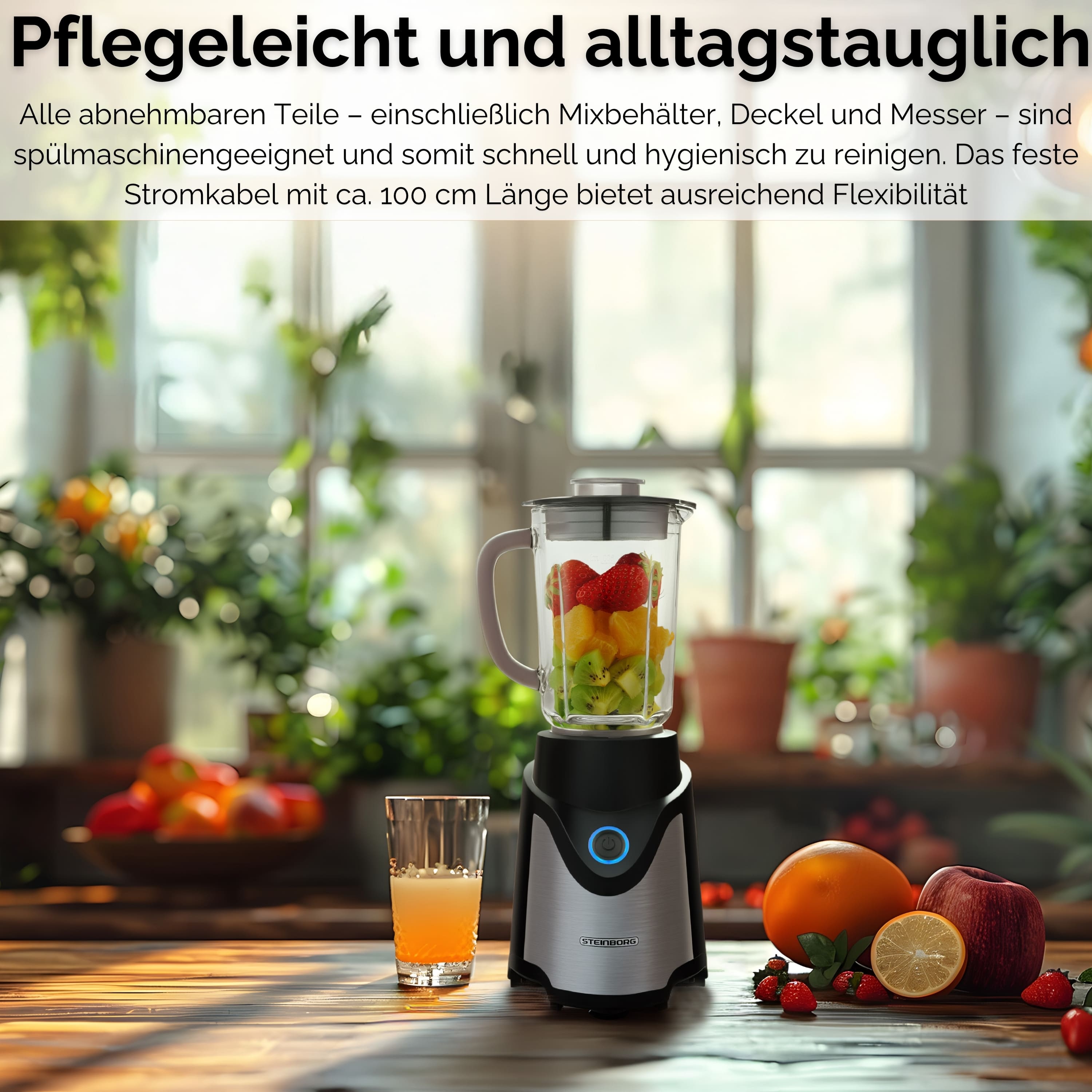 Steinborg SB-7030 Standmixer