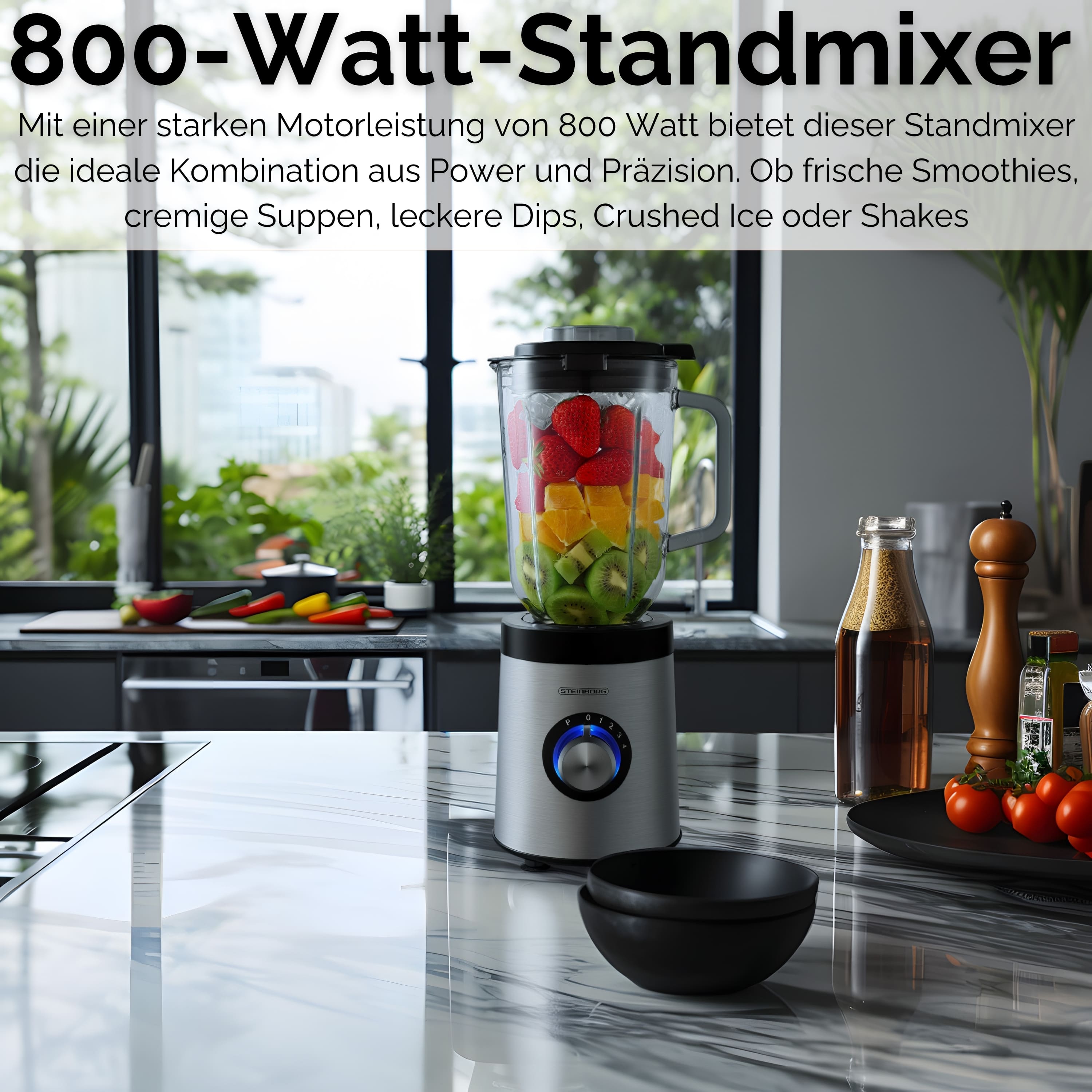 Steinborg SB-7020 Standmixer