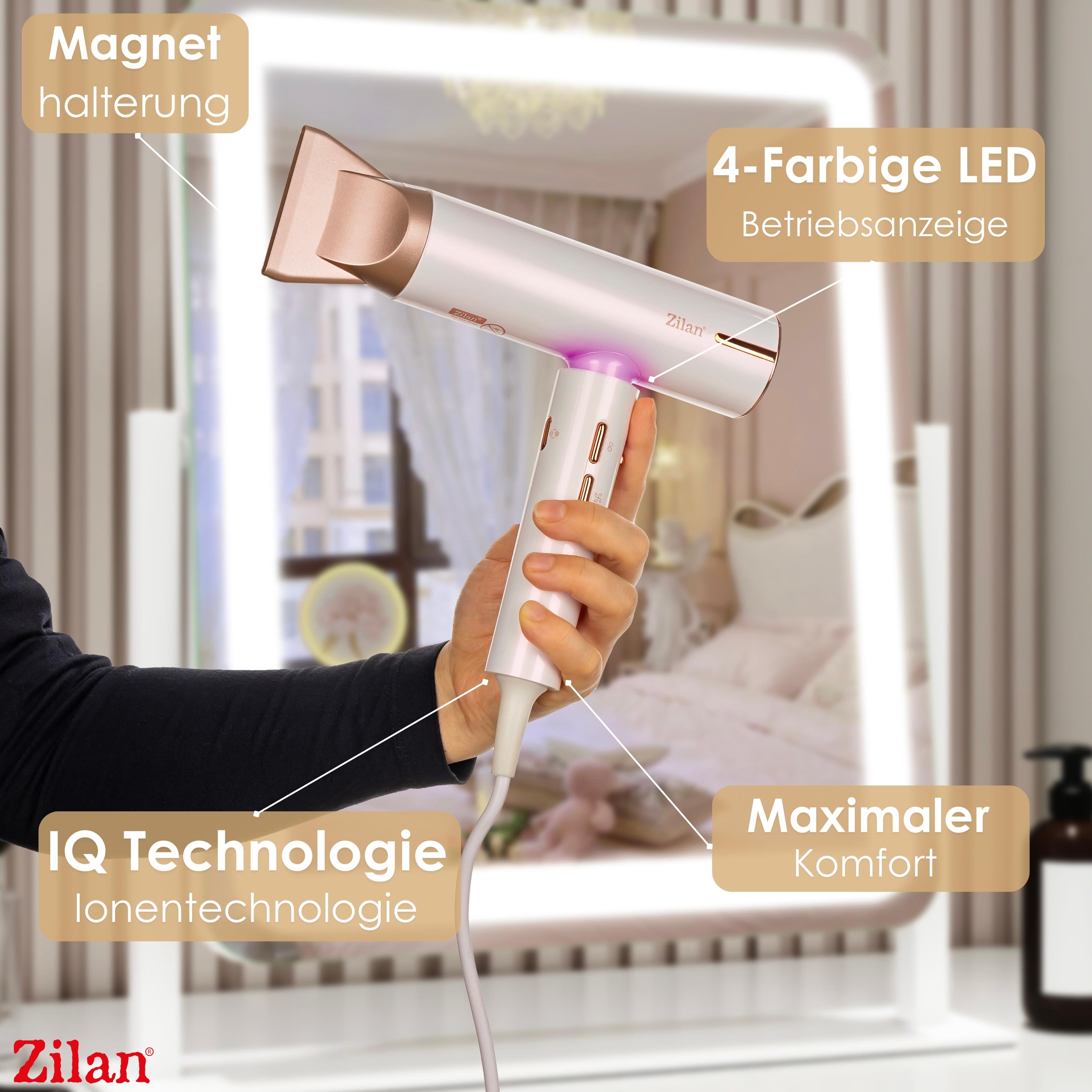 Zilan ZLN-9181 Haartrockner Pro