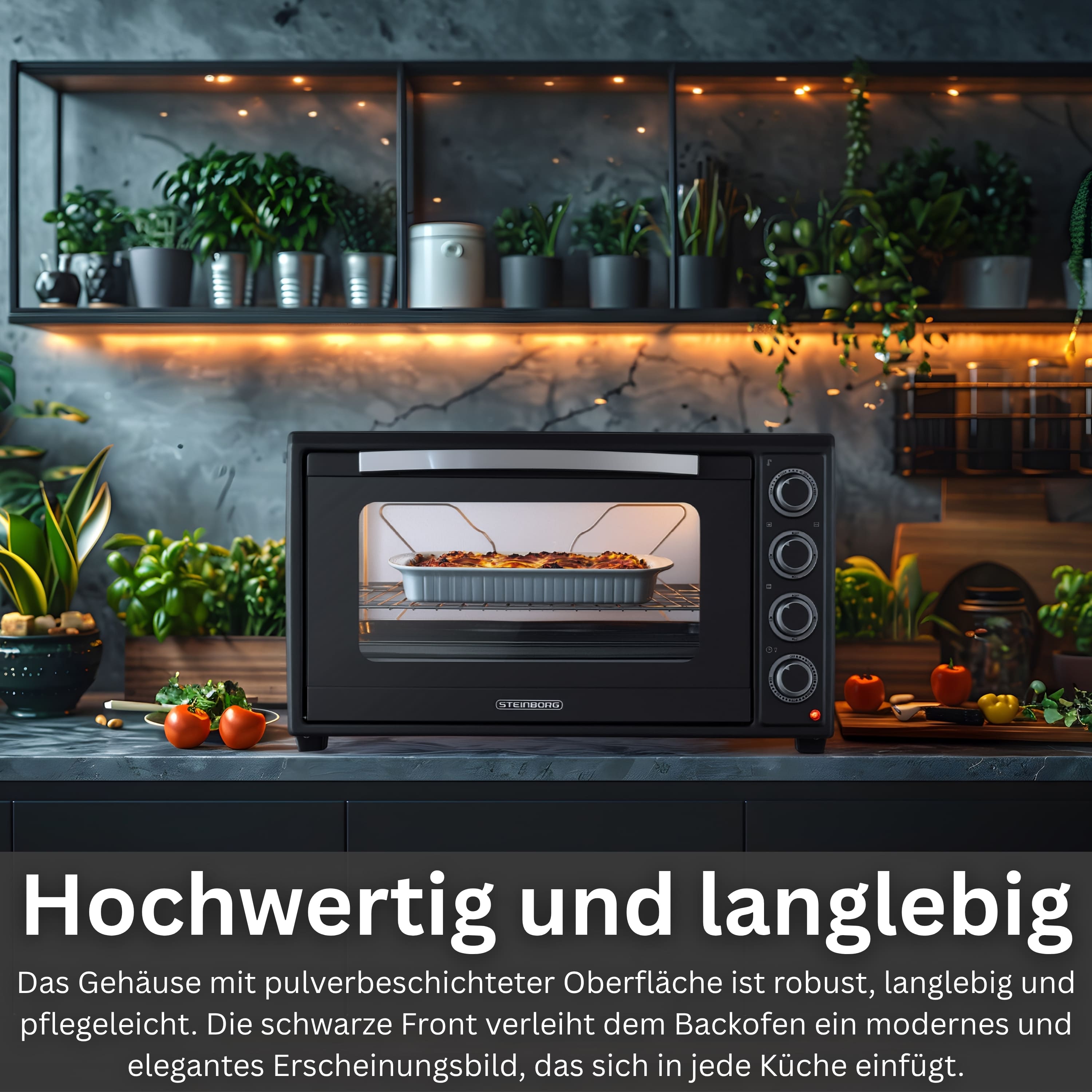 Steinborg SB-3019 Backofen 60L
