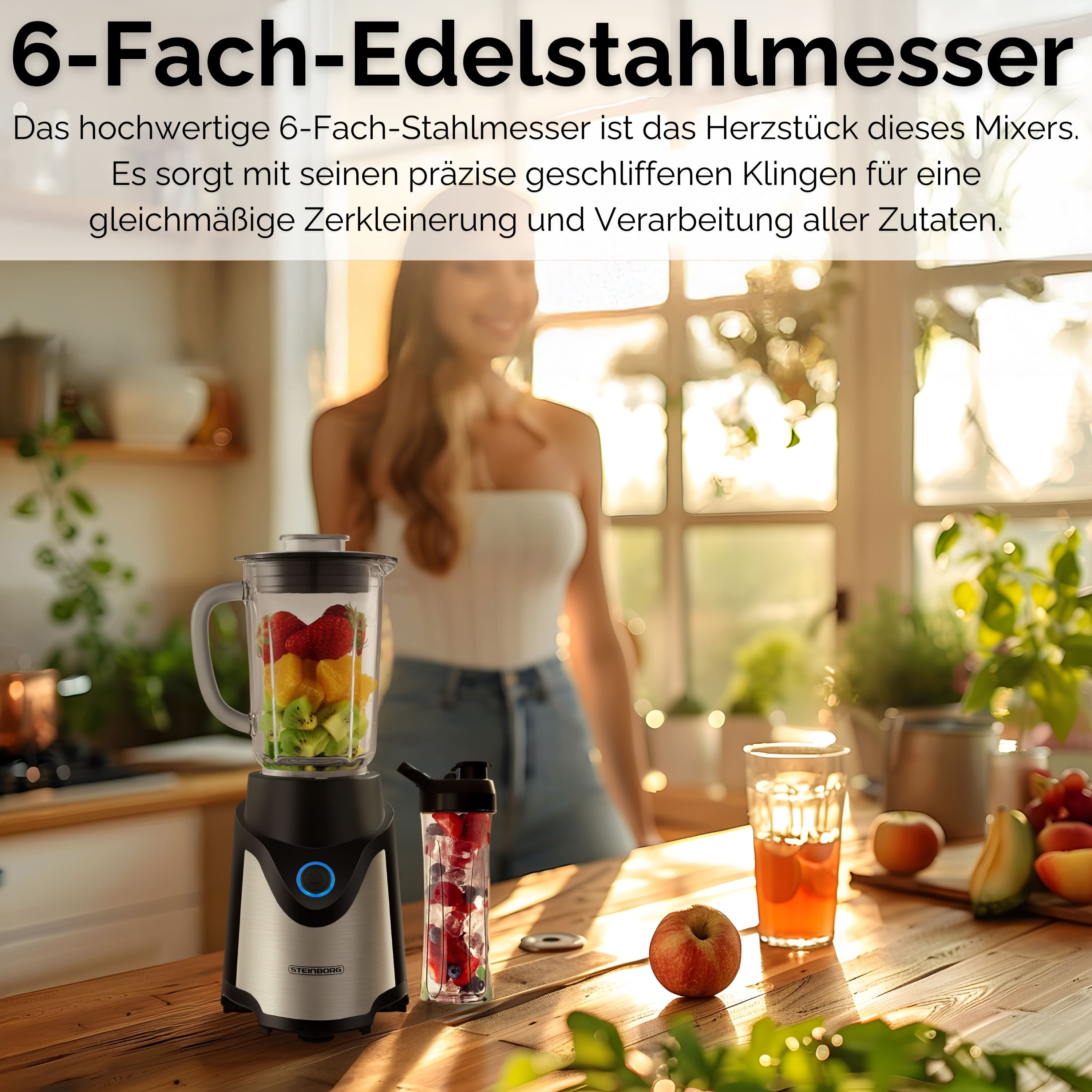 Steinborg SB-7030 Standmixer