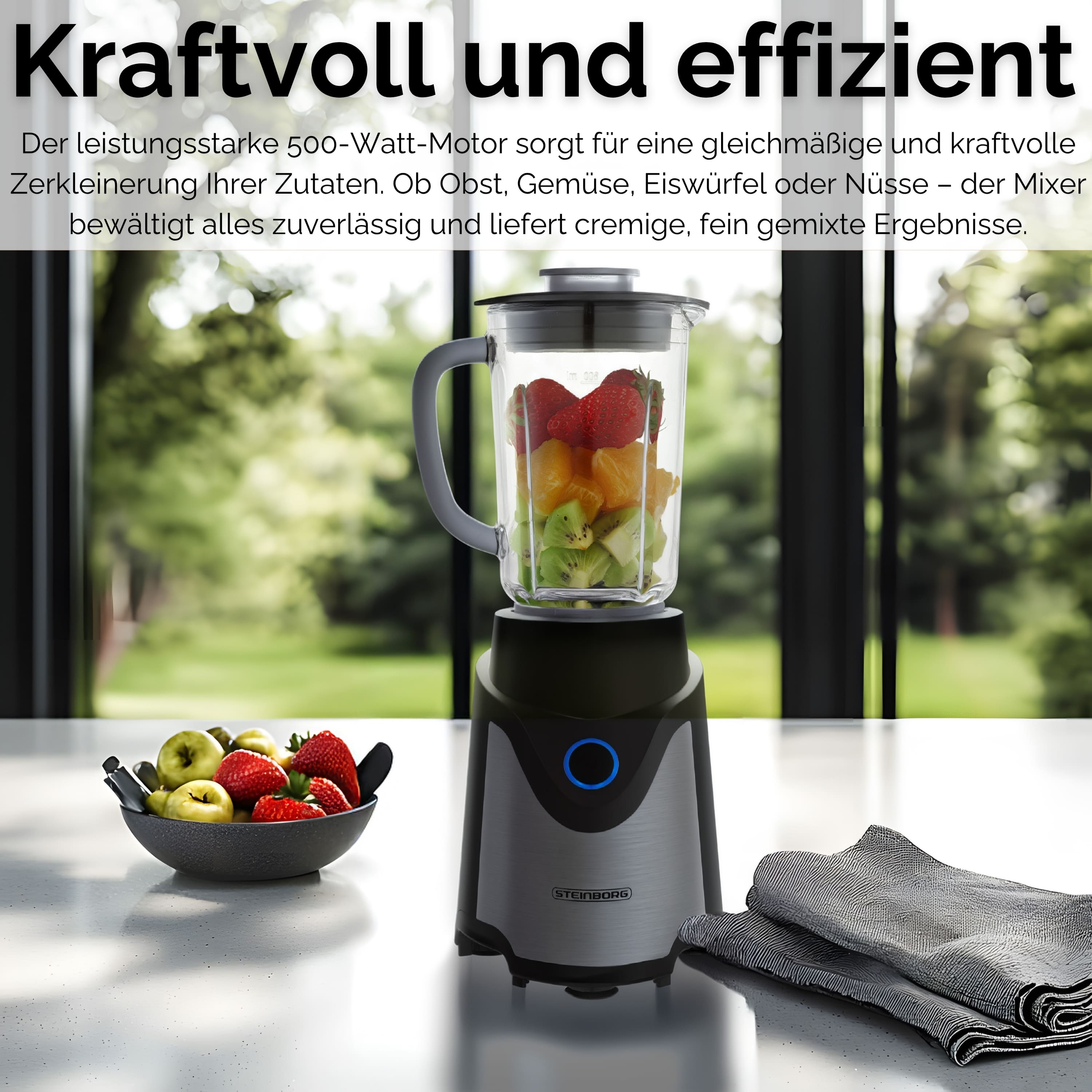 Steinborg SB-7030 Standmixer