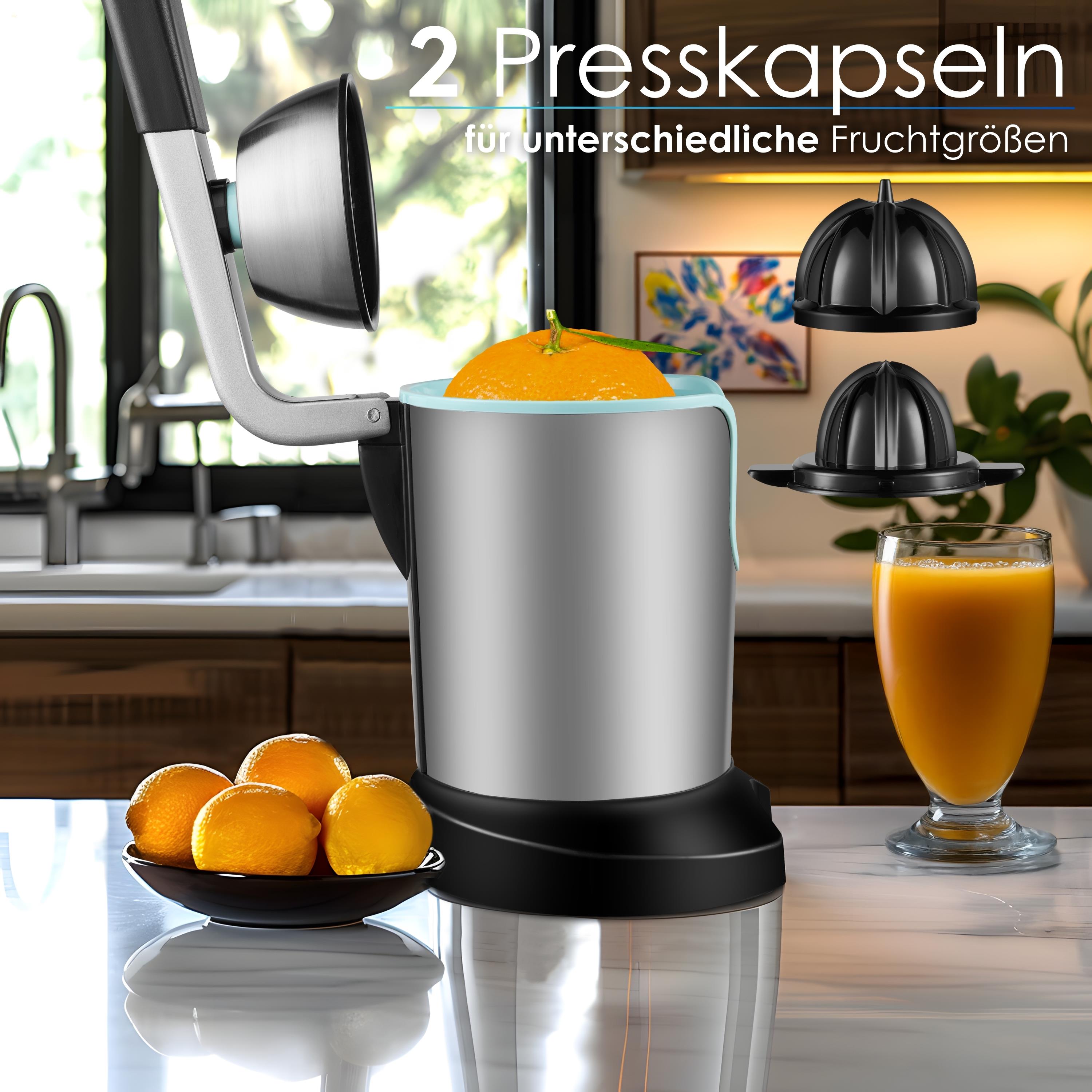 Steinborg SB-7051 Saftpresse