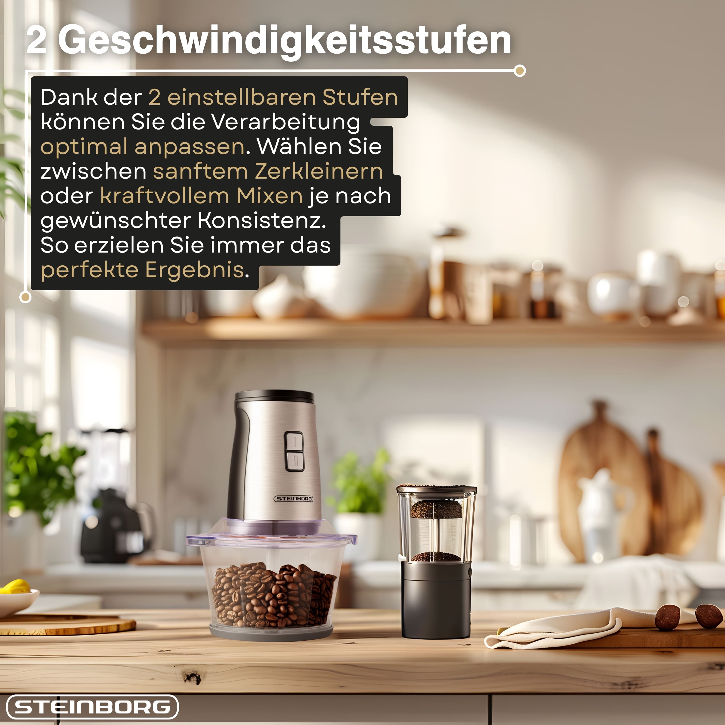 Steinborg SB-2650 Zerkleinerer und Mixer