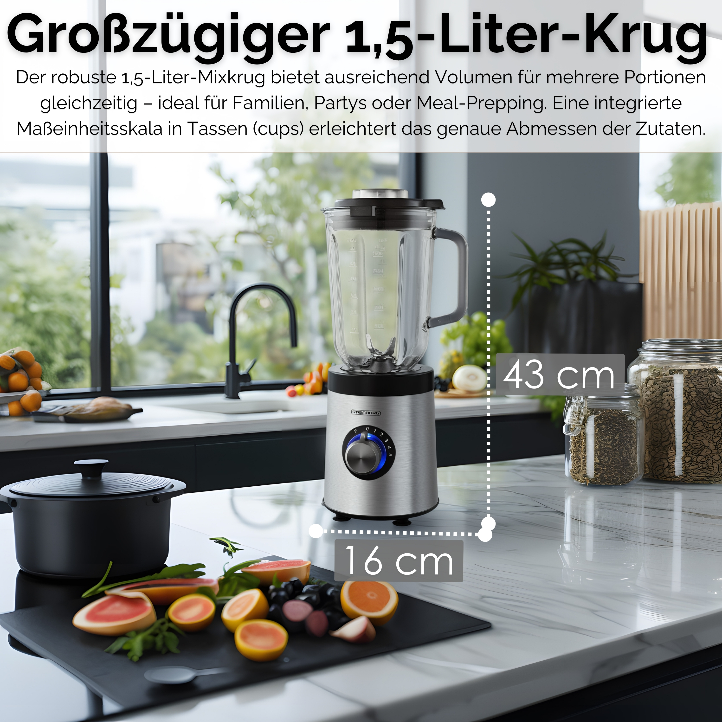 Steinborg SB-7020 Standmixer