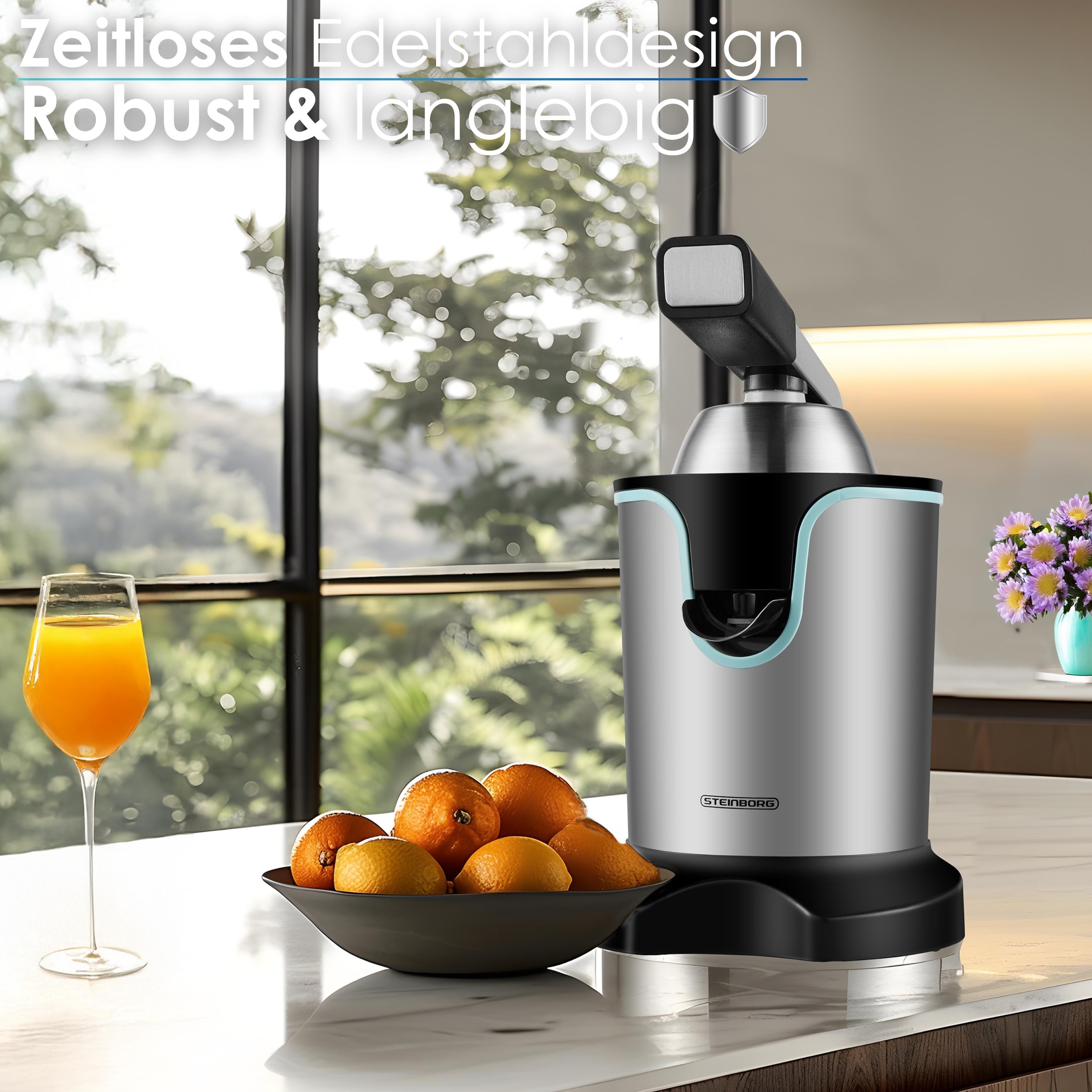 Steinborg SB-7051 Saftpresse