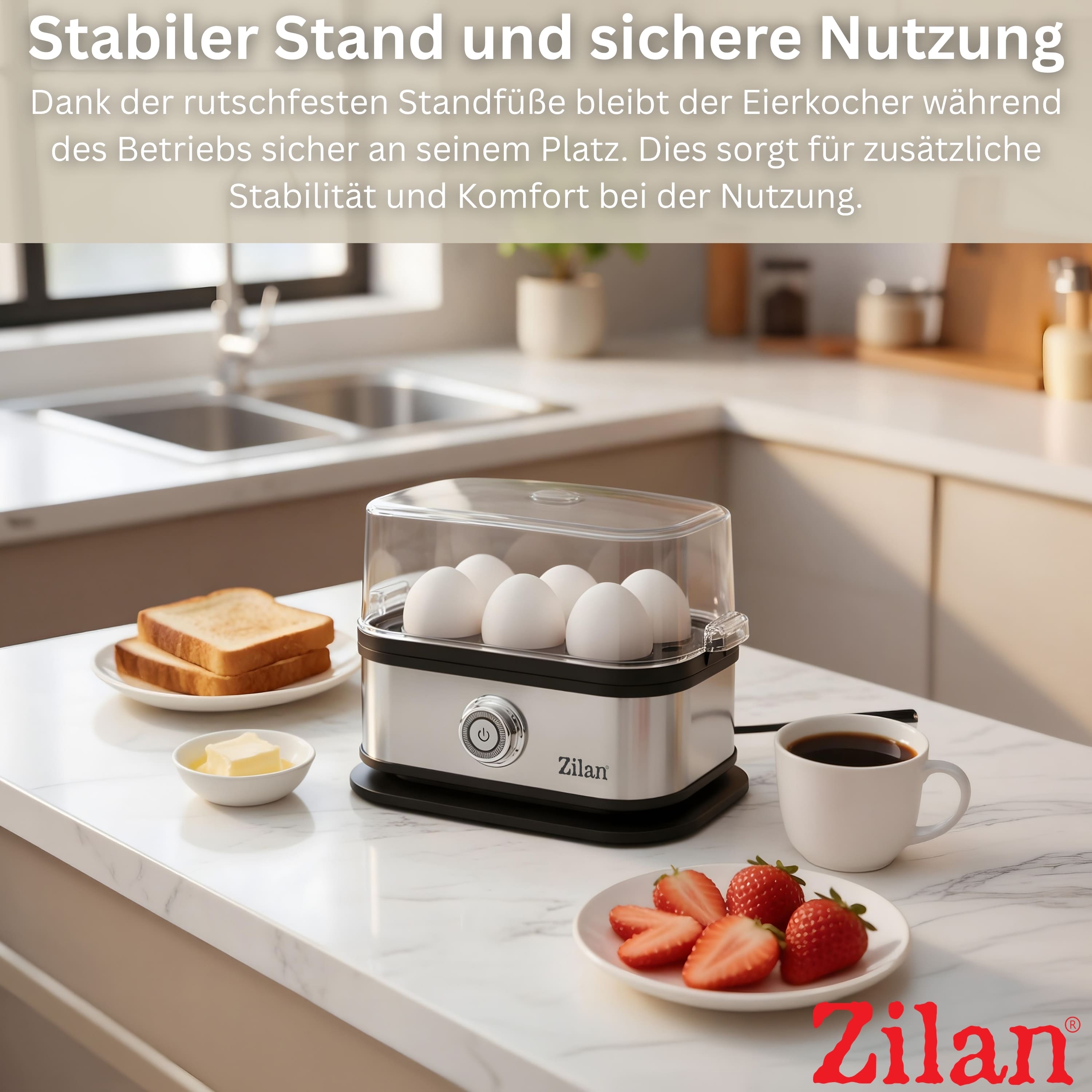 Zilan ZLN-4109 Eierkocher