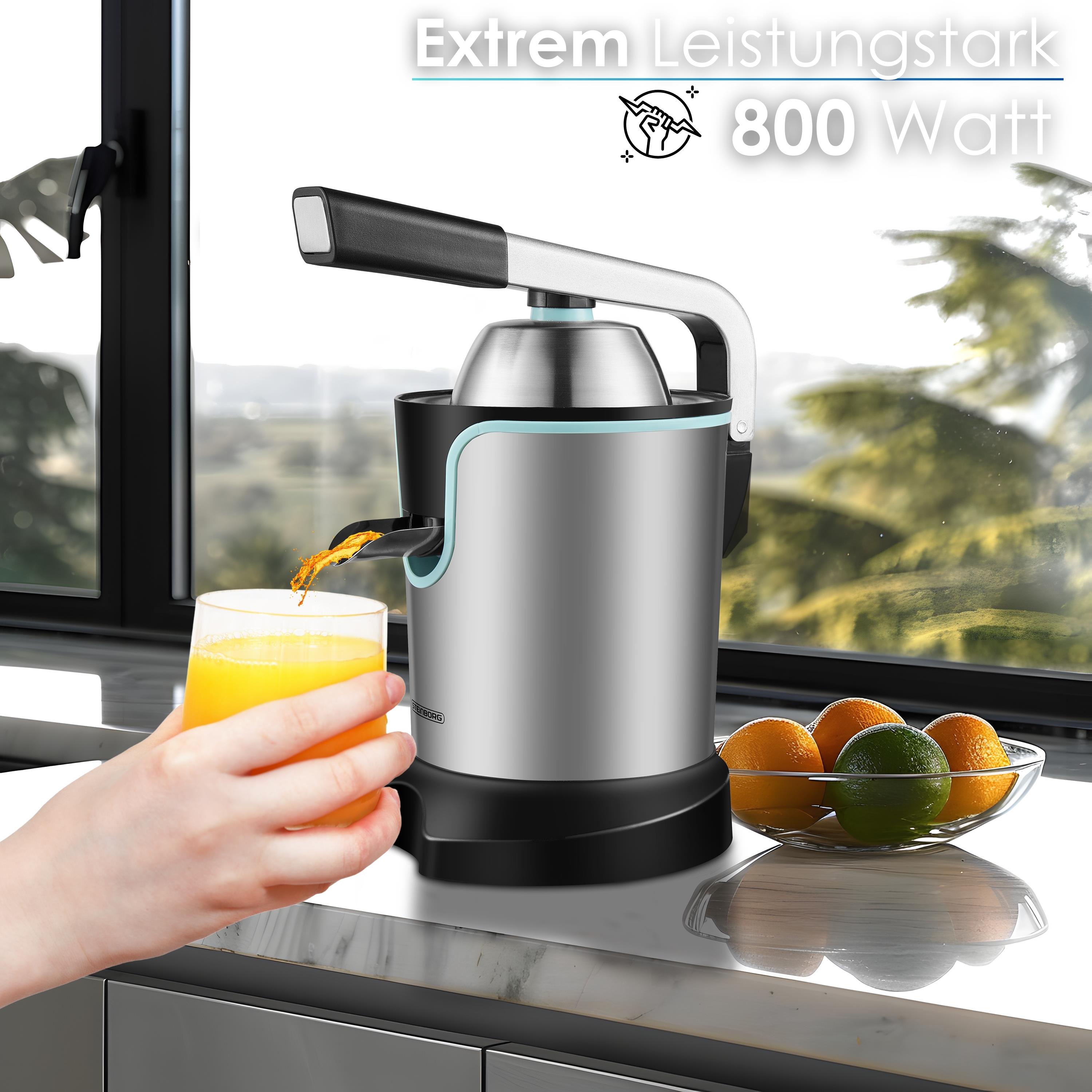 Steinborg SB-7051 Saftpresse