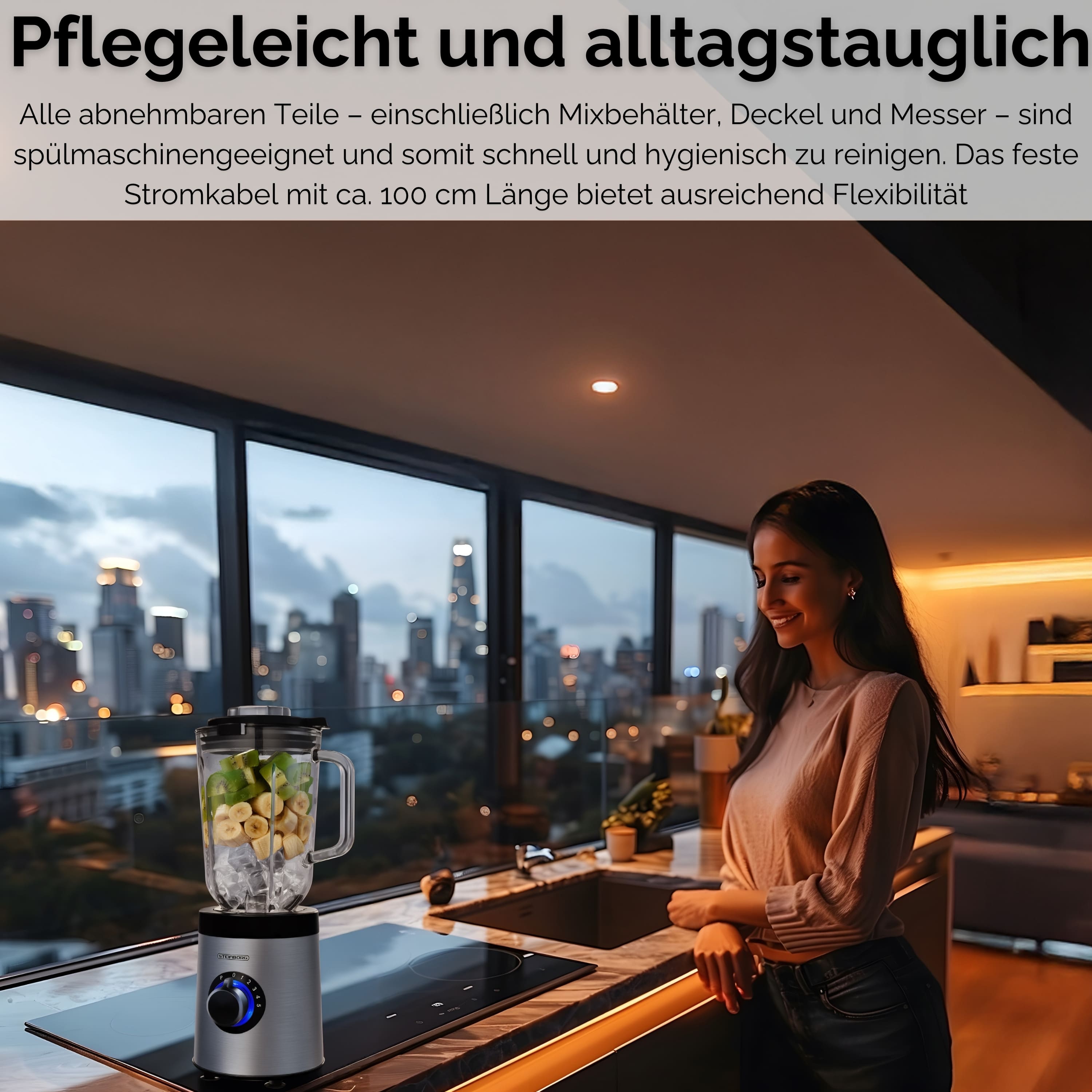 Steinborg SB-7020 Standmixer