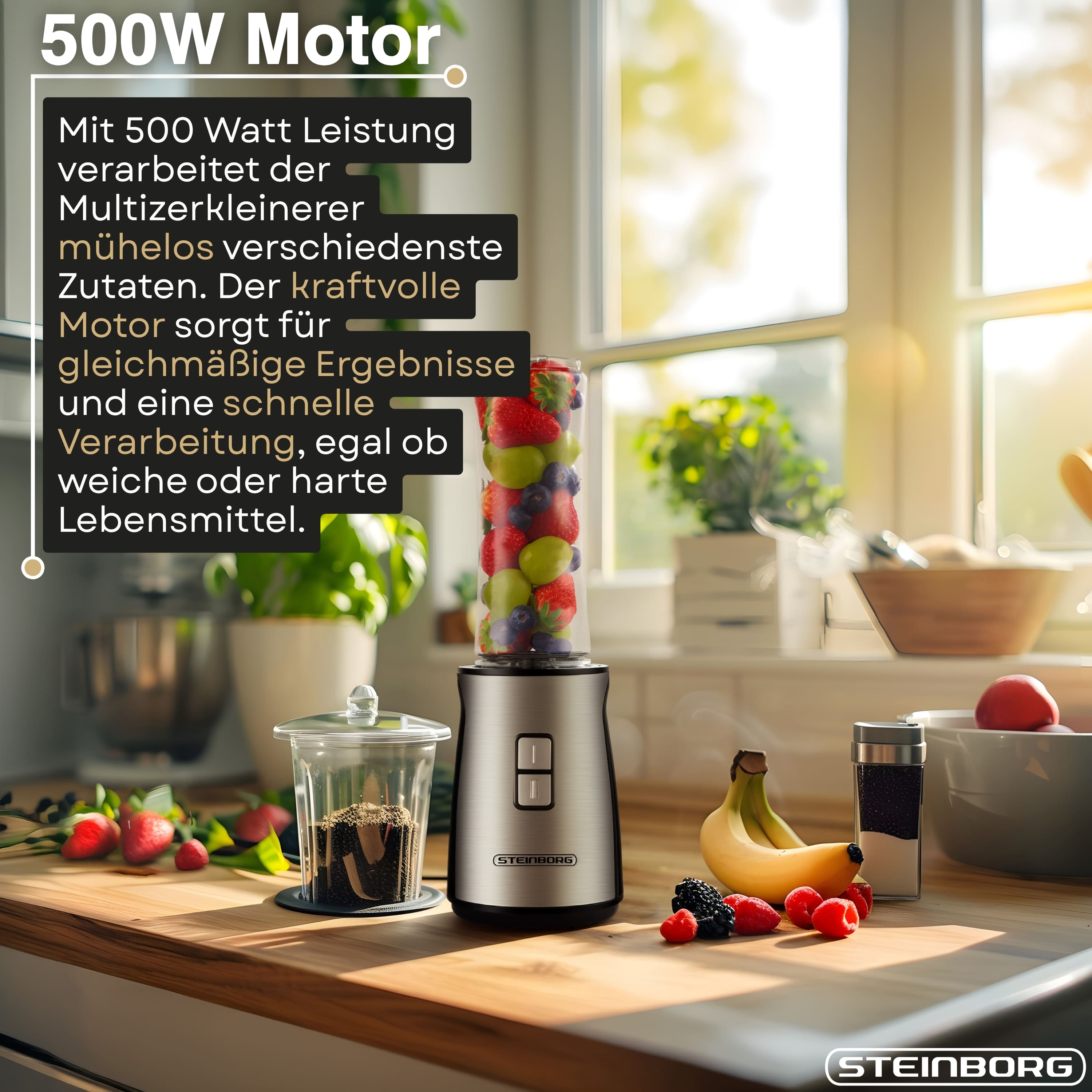 Steinborg SB-2650 Zerkleinerer und Mixer