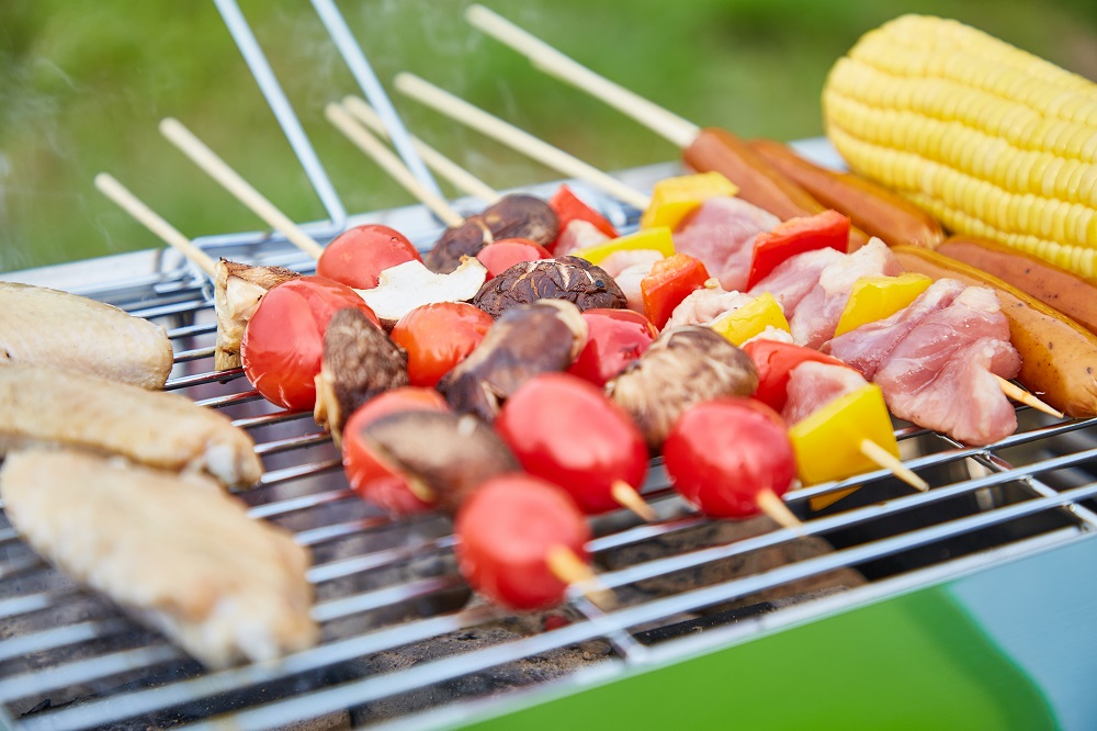 Steinborg SB-8161 Klappgrilll Grün