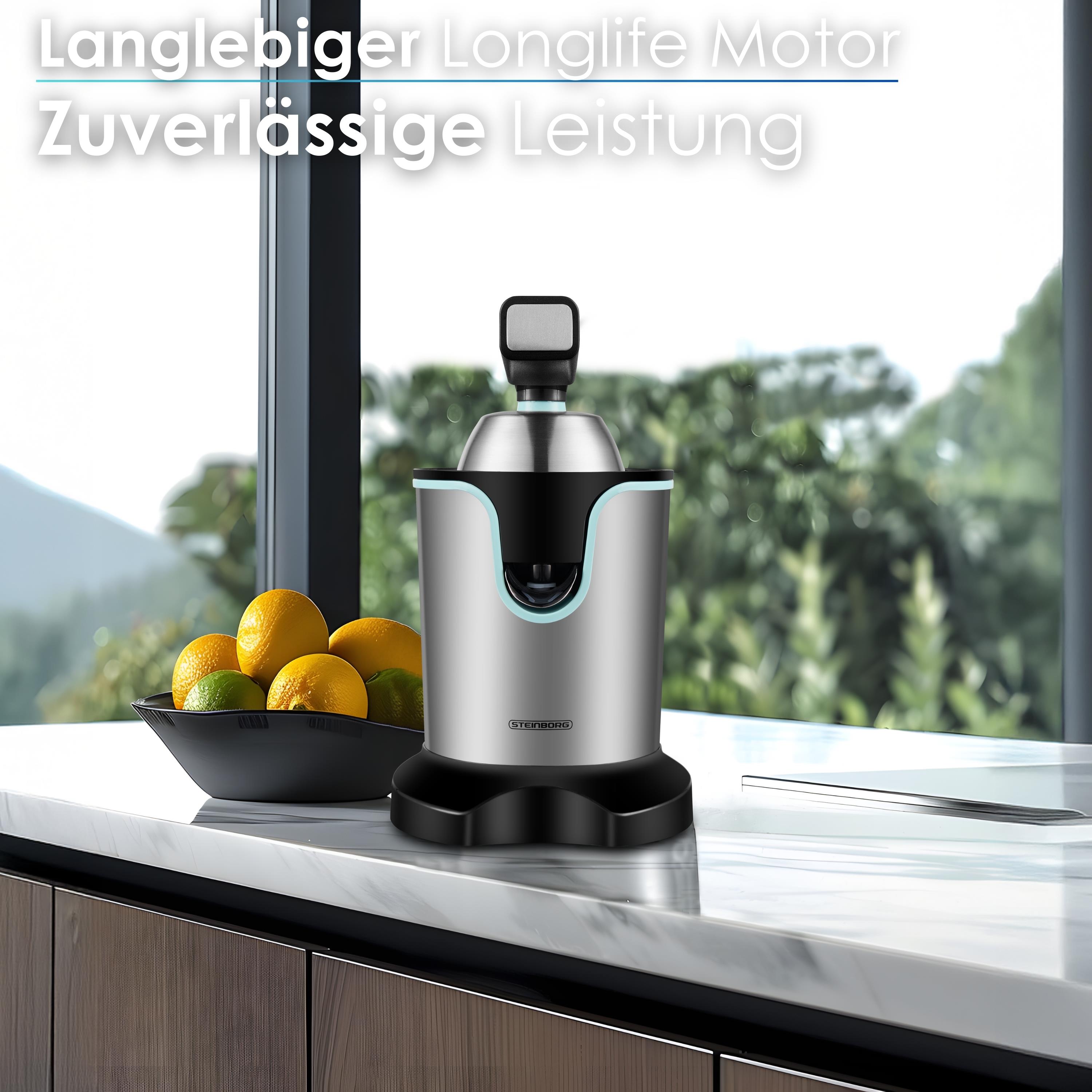 Steinborg SB-7051 Saftpresse