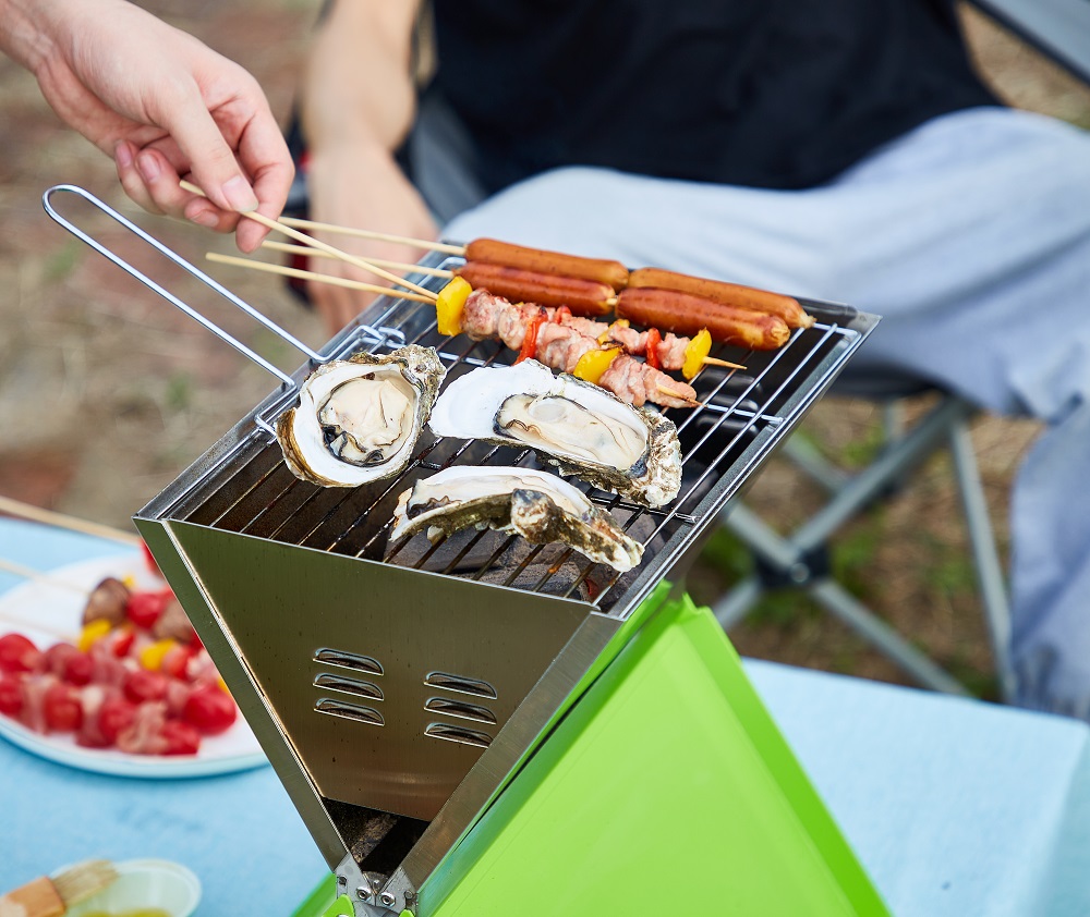 Steinborg SB-8161 Klappgrilll Grün