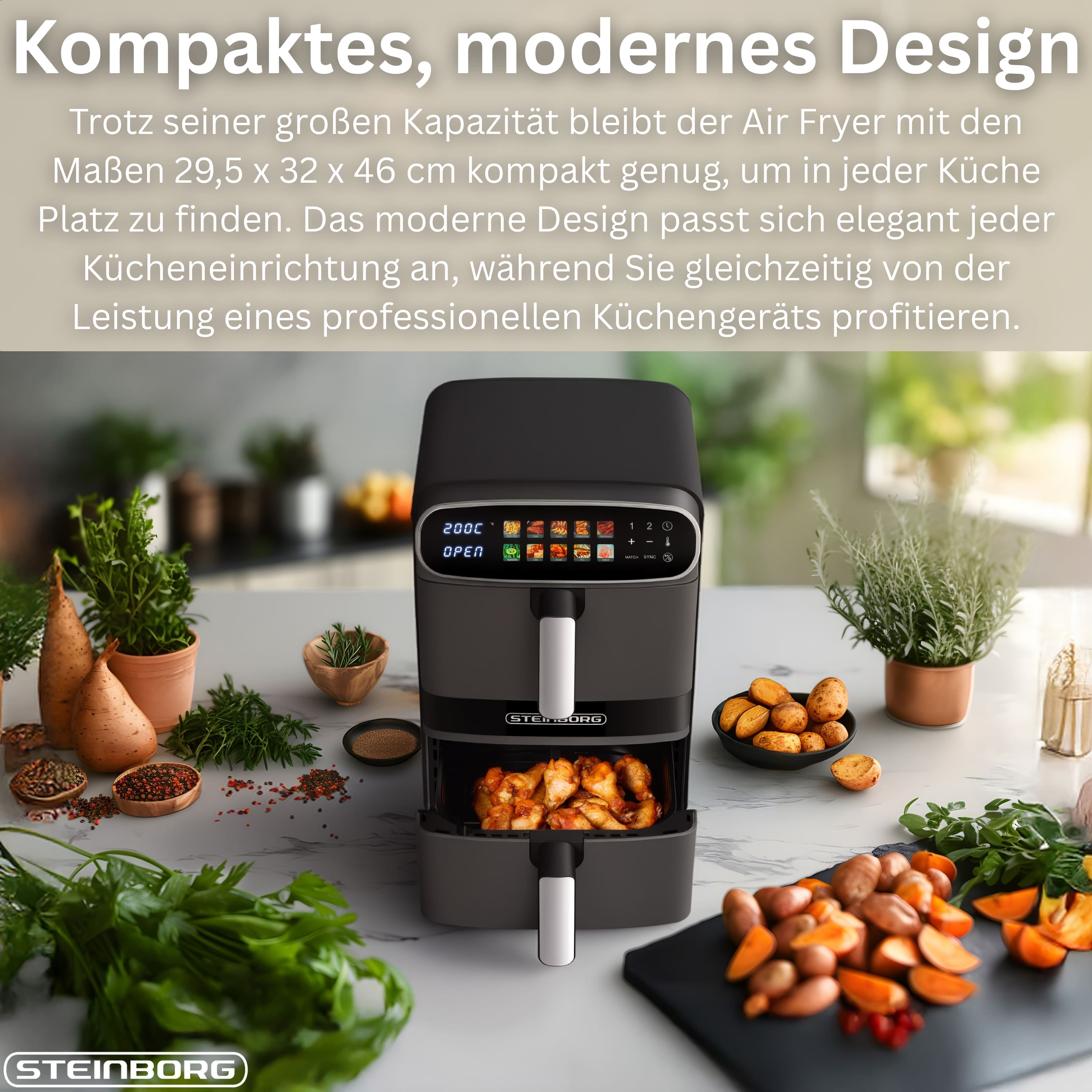 Steinborg SB-3160 Heißluftfritteuse