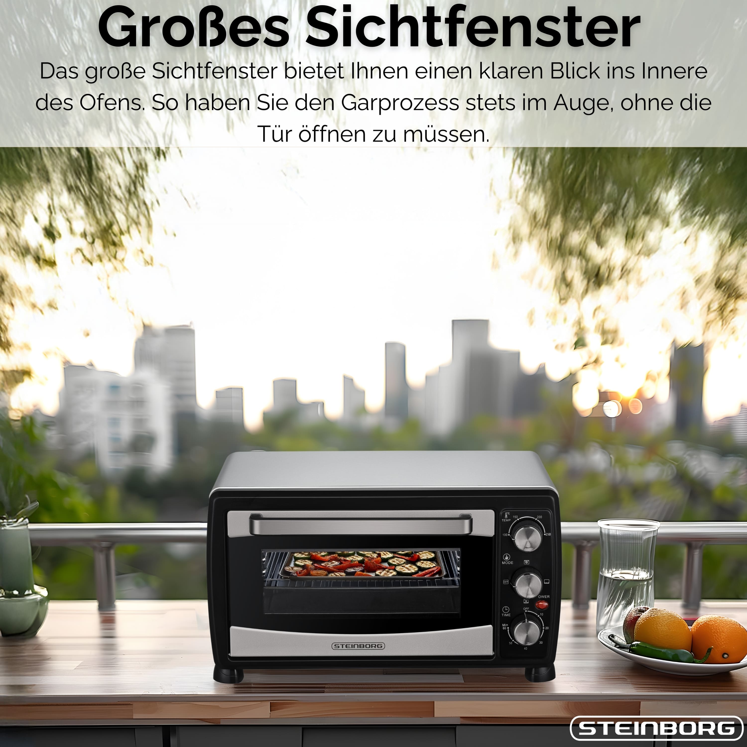Steinborg SB-3007 Backofen 20 Liter