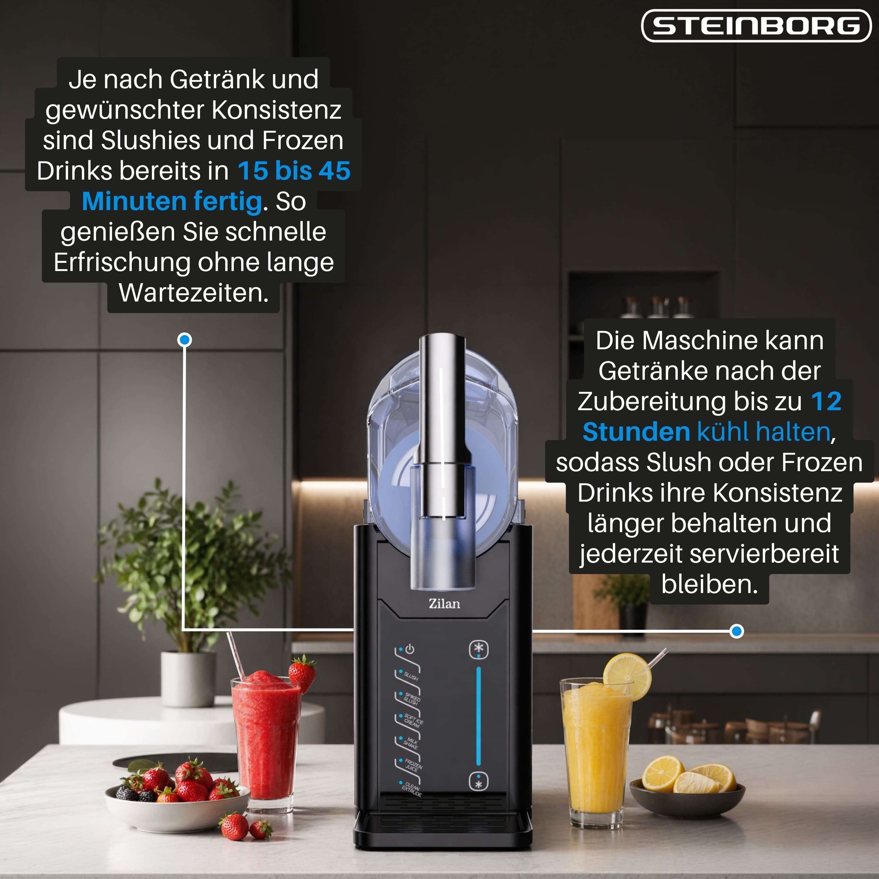 Zilan ZLN-4819 Slushi Maker
